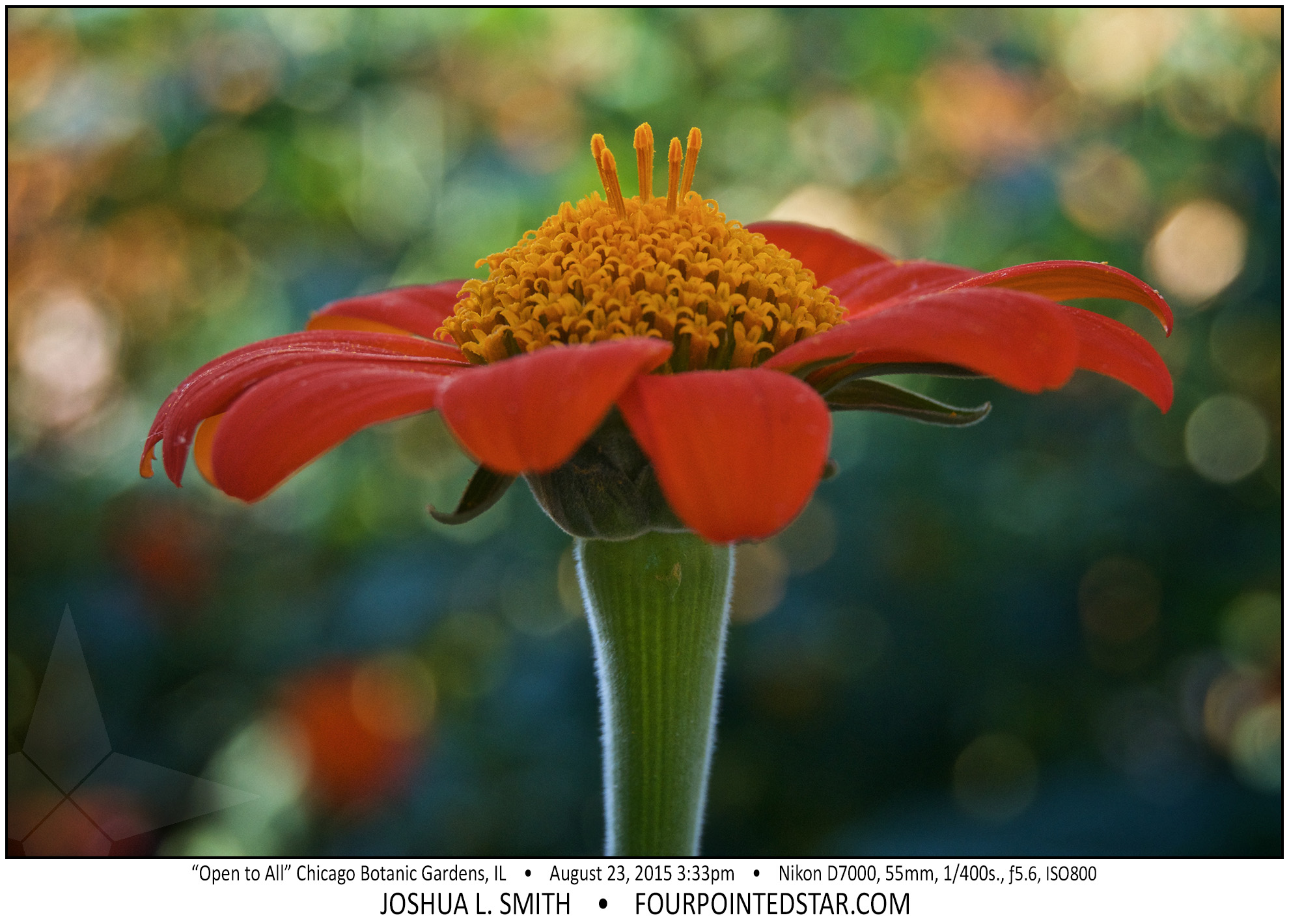 AG9255 150823 153336