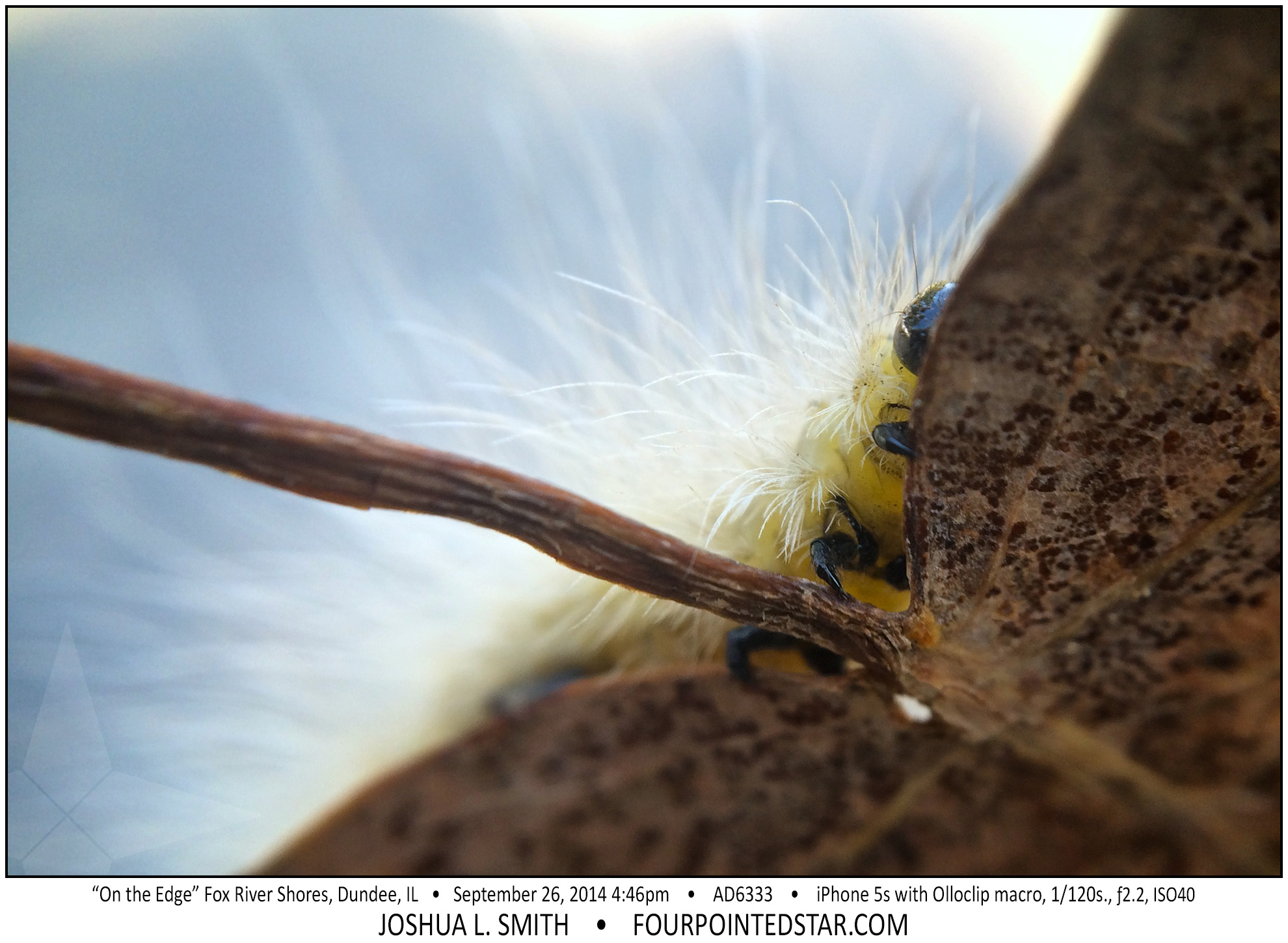 AD6333 140926 164607