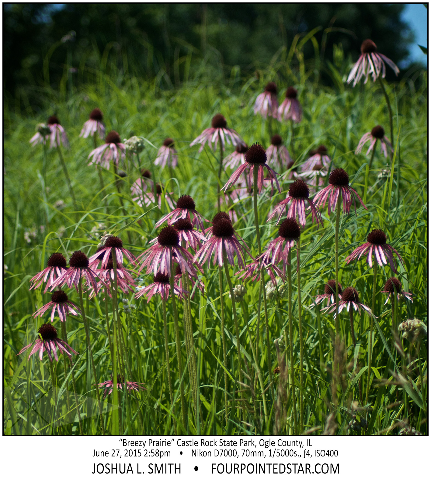 AG6354 150627 145802