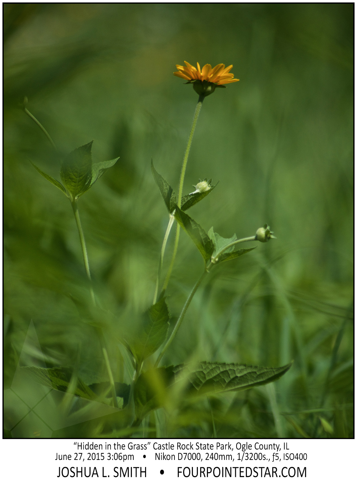 AG6411 150627 150629