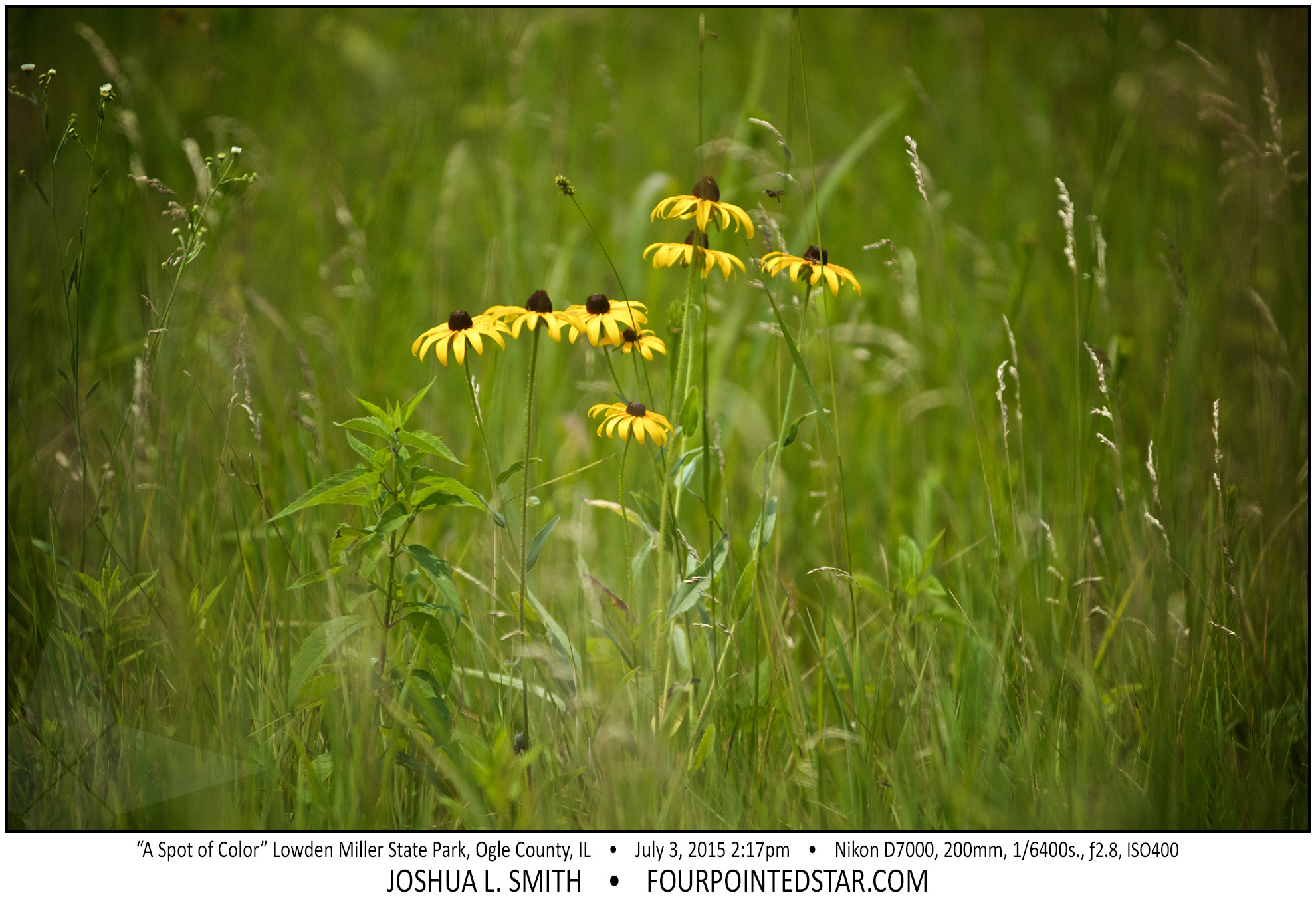 AG6477 150703 141754