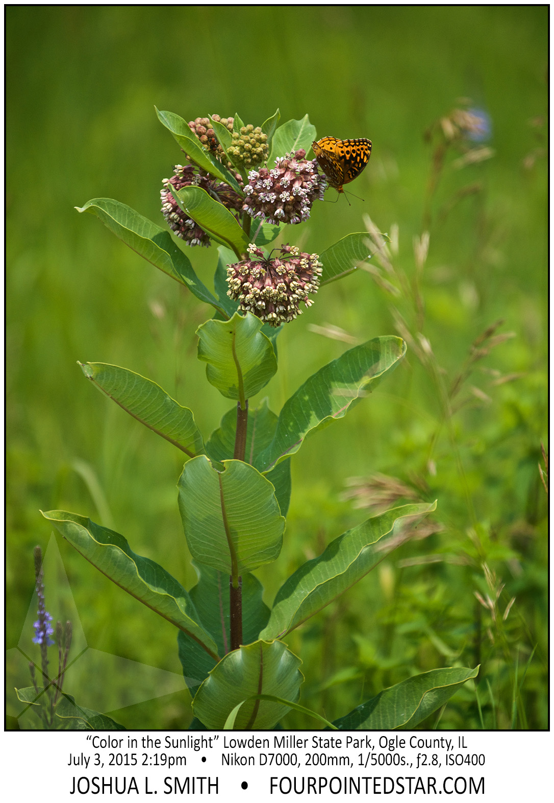 AG6480 150703 141920