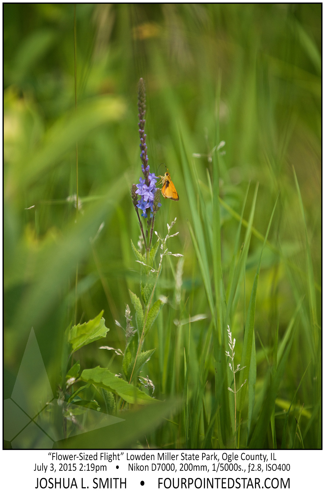 AG6483 150703 141957