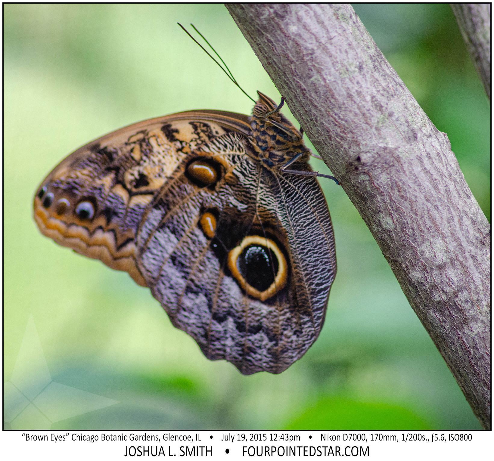 AG7291 150719 124359