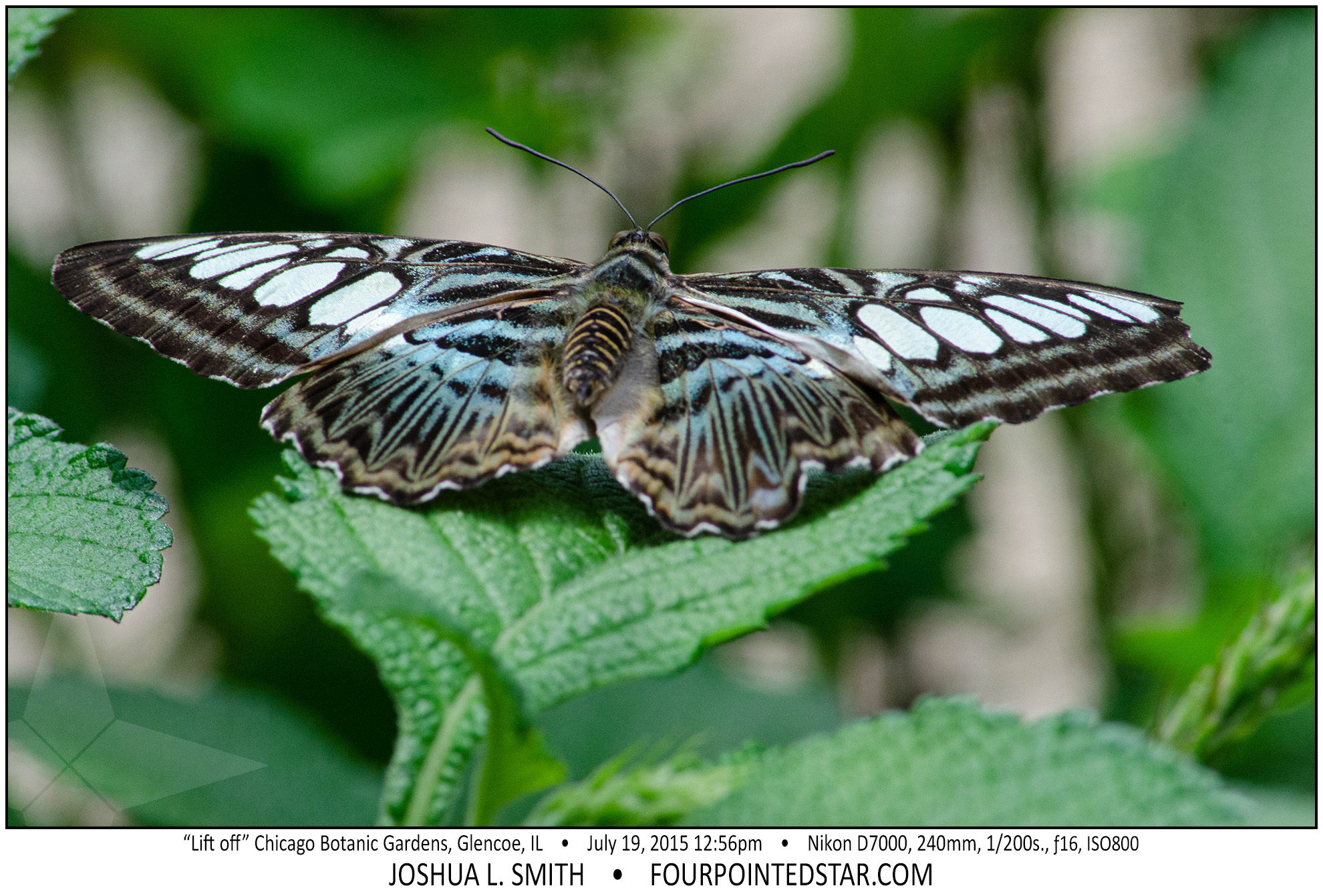 AG7364 150719 125654