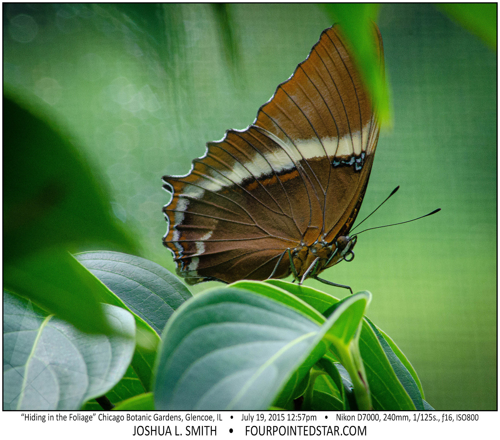 AG7367 150719 125738