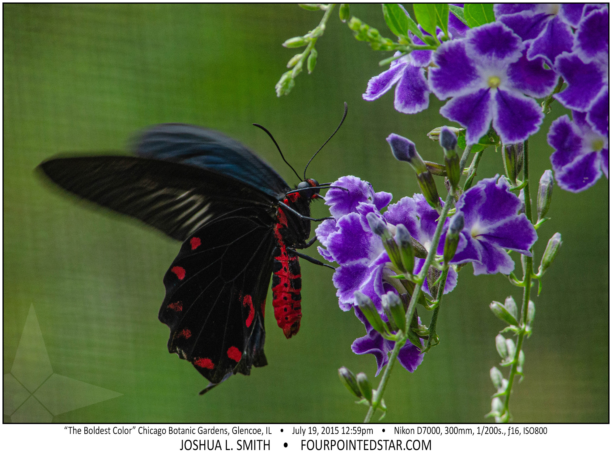 AG7371 150719 125932