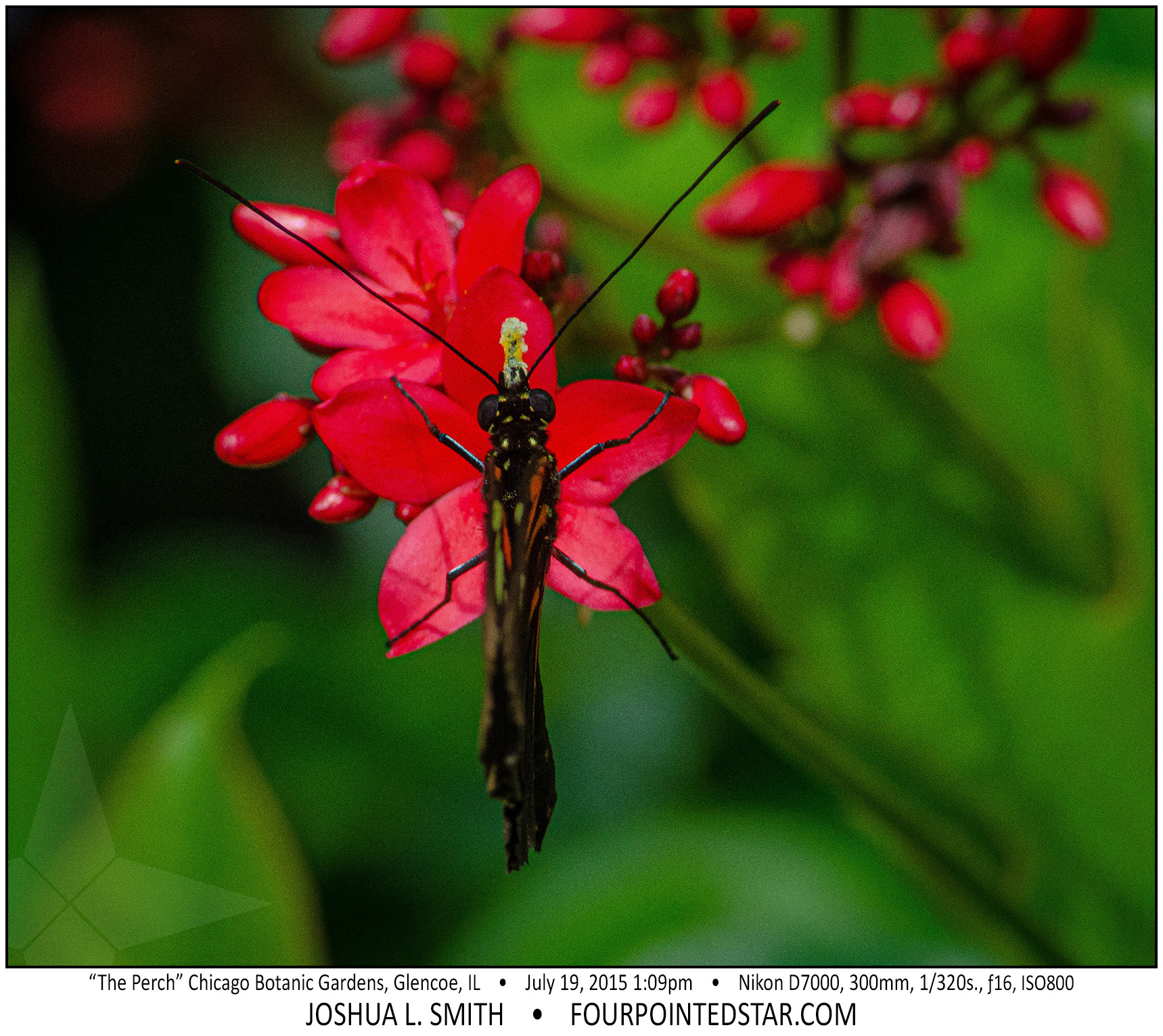 AG7386 150719 130901