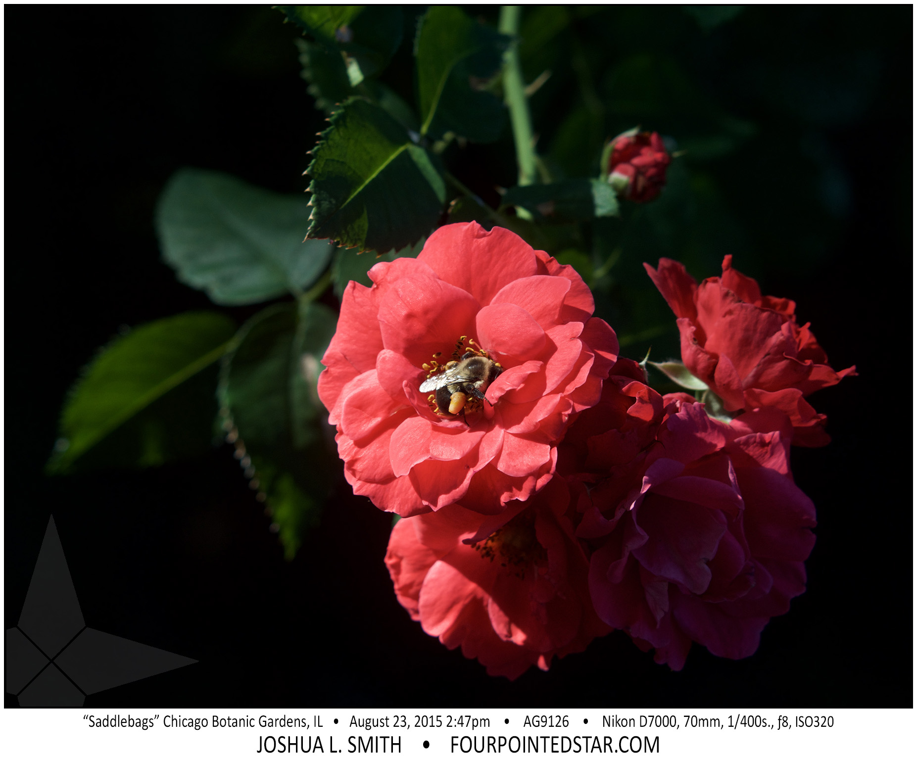 AG9126 150823 144740