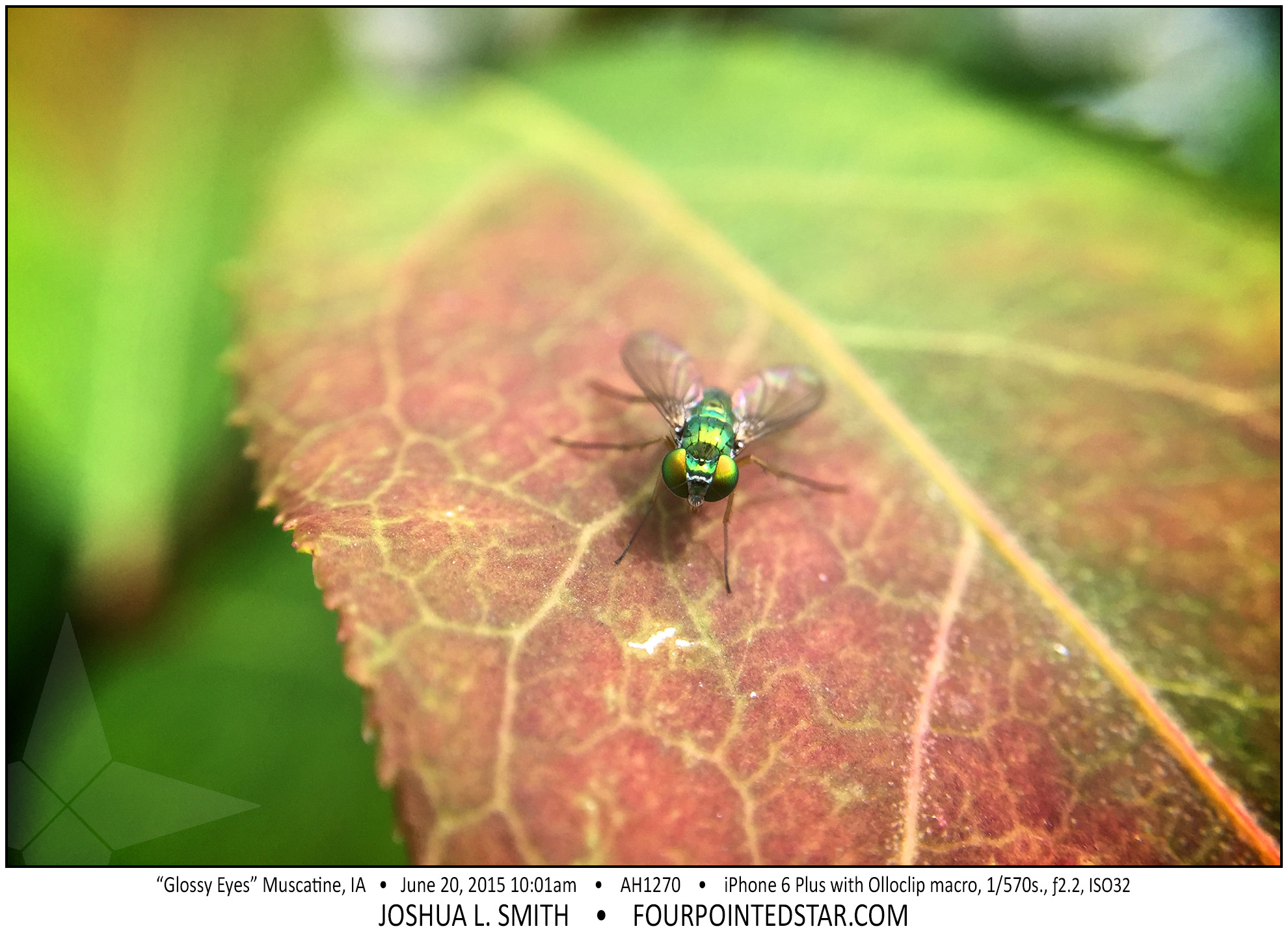 AH1270 150620 100128