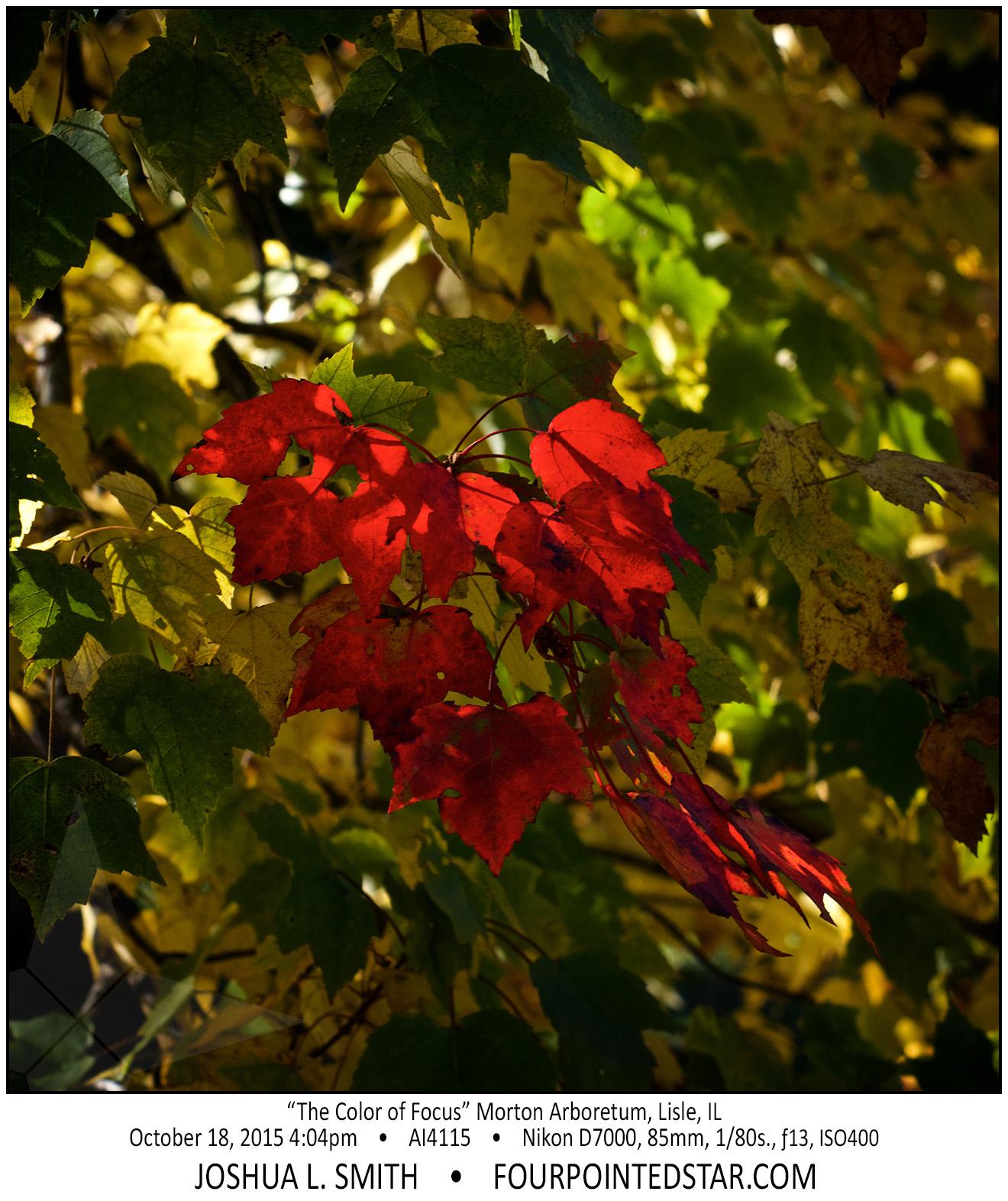 AI4115 151018 160407