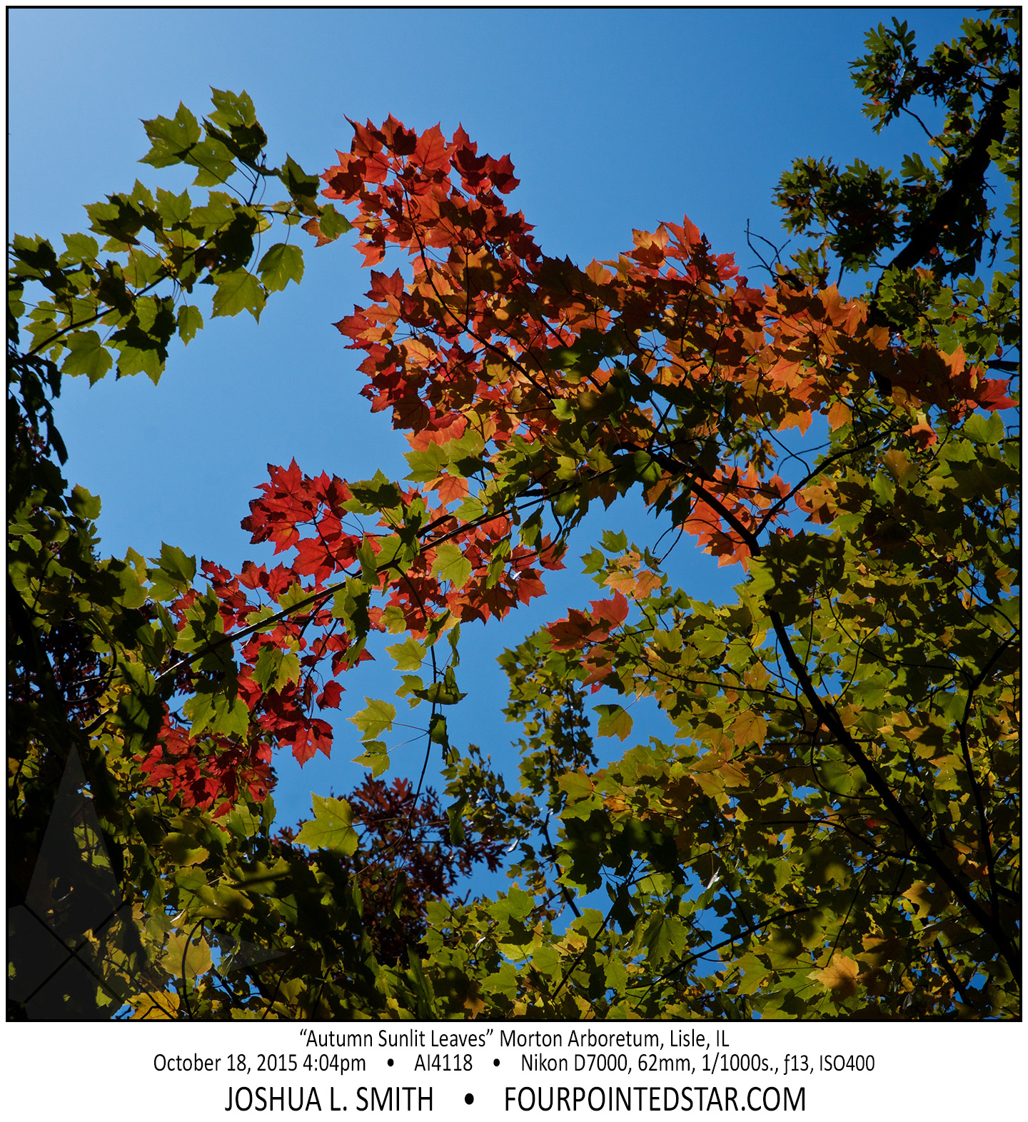 AI4118 151018 160441