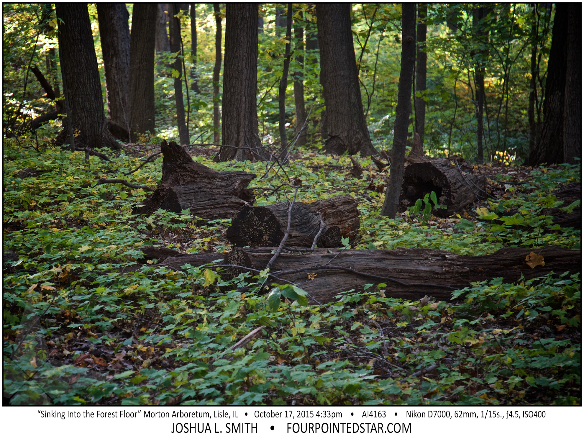 AI4163 151018 163316