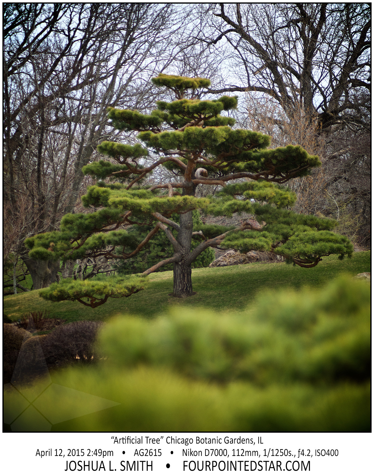 AG2615 150412 144918