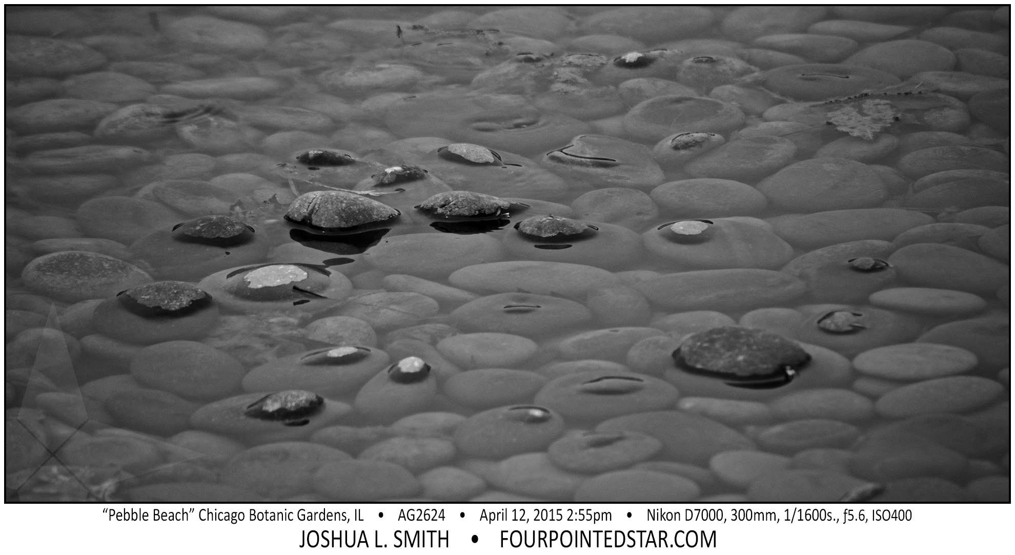 AG2624 150412 145548