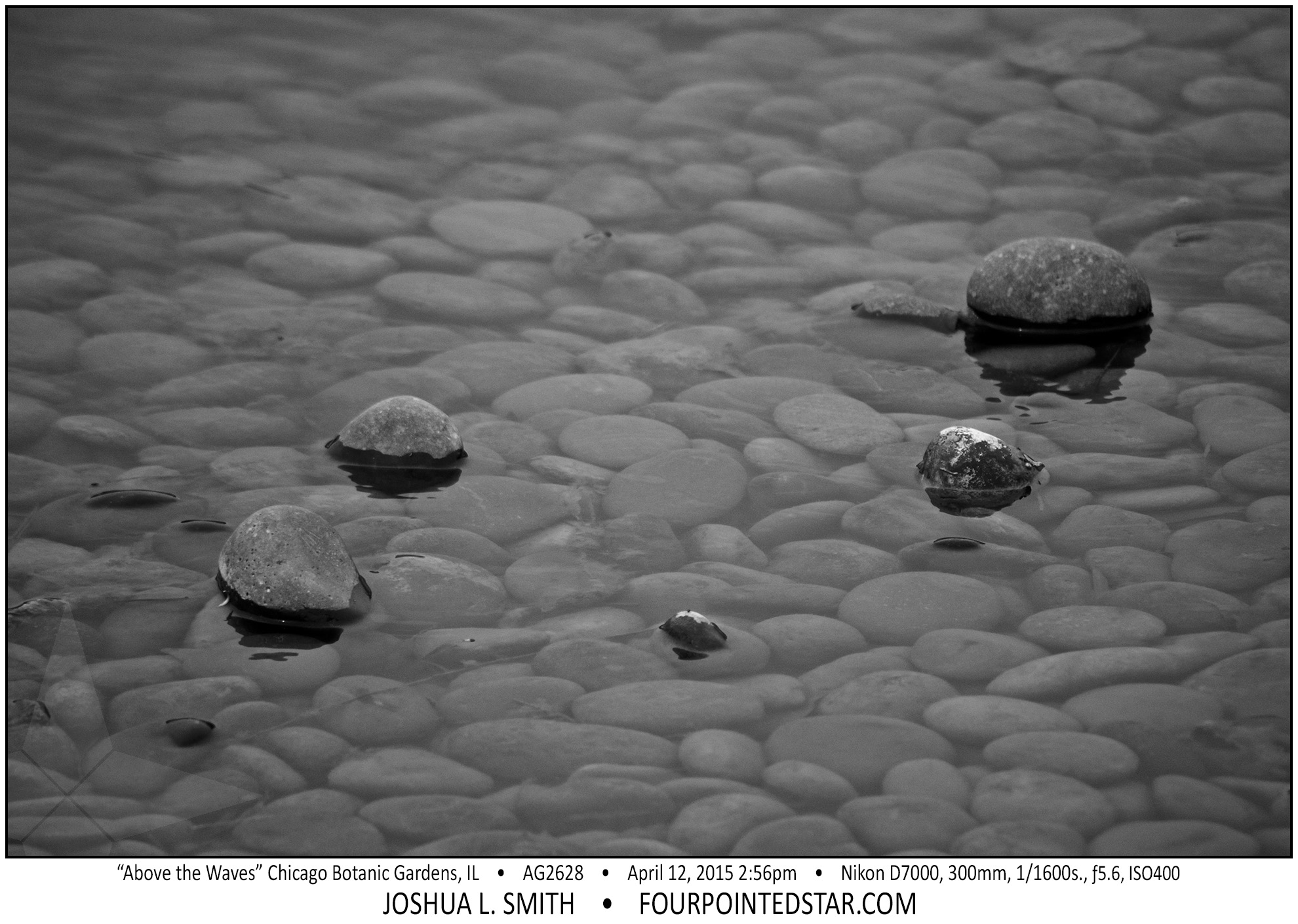 AG2628 150412 144918