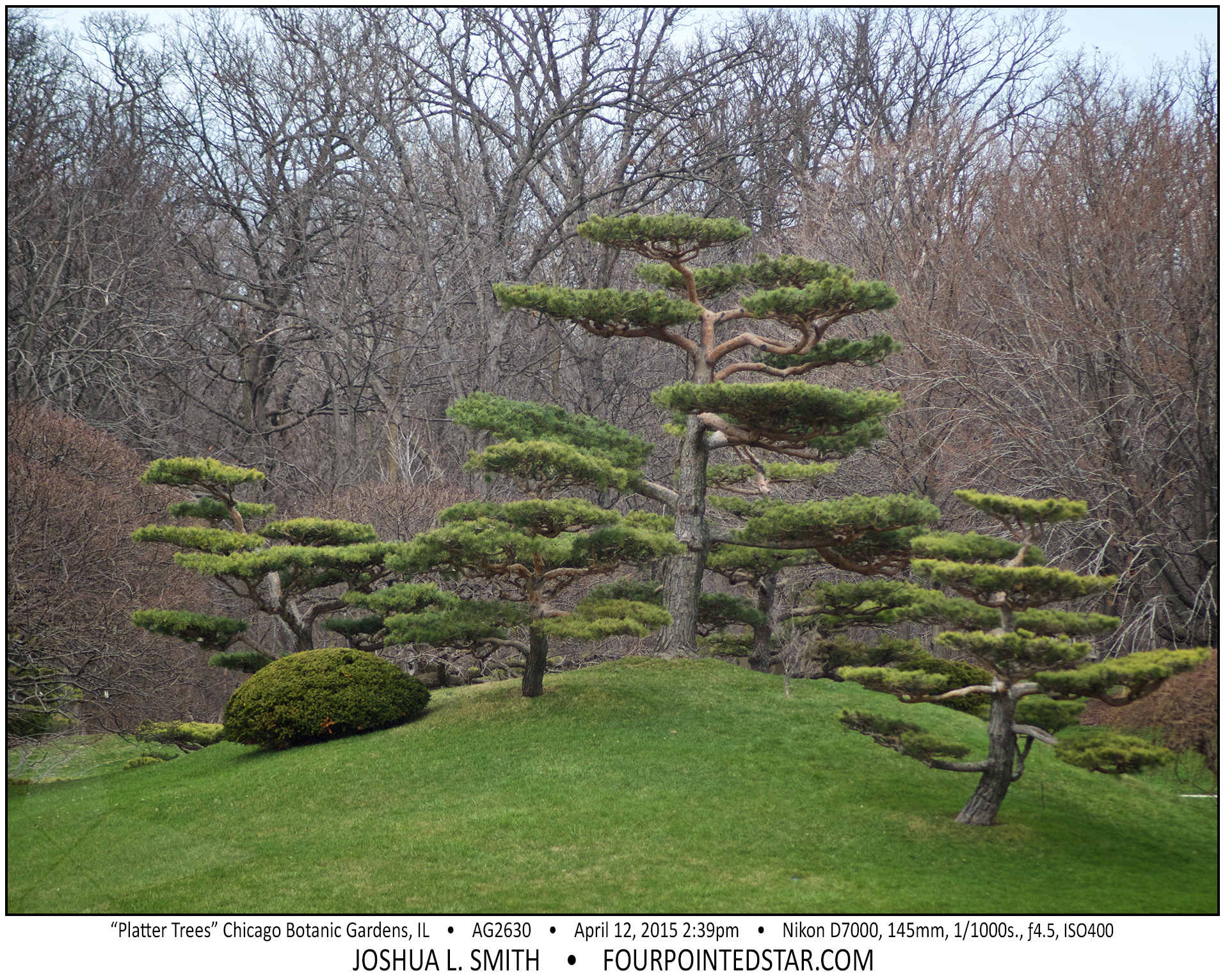 AG2630 150412 145735