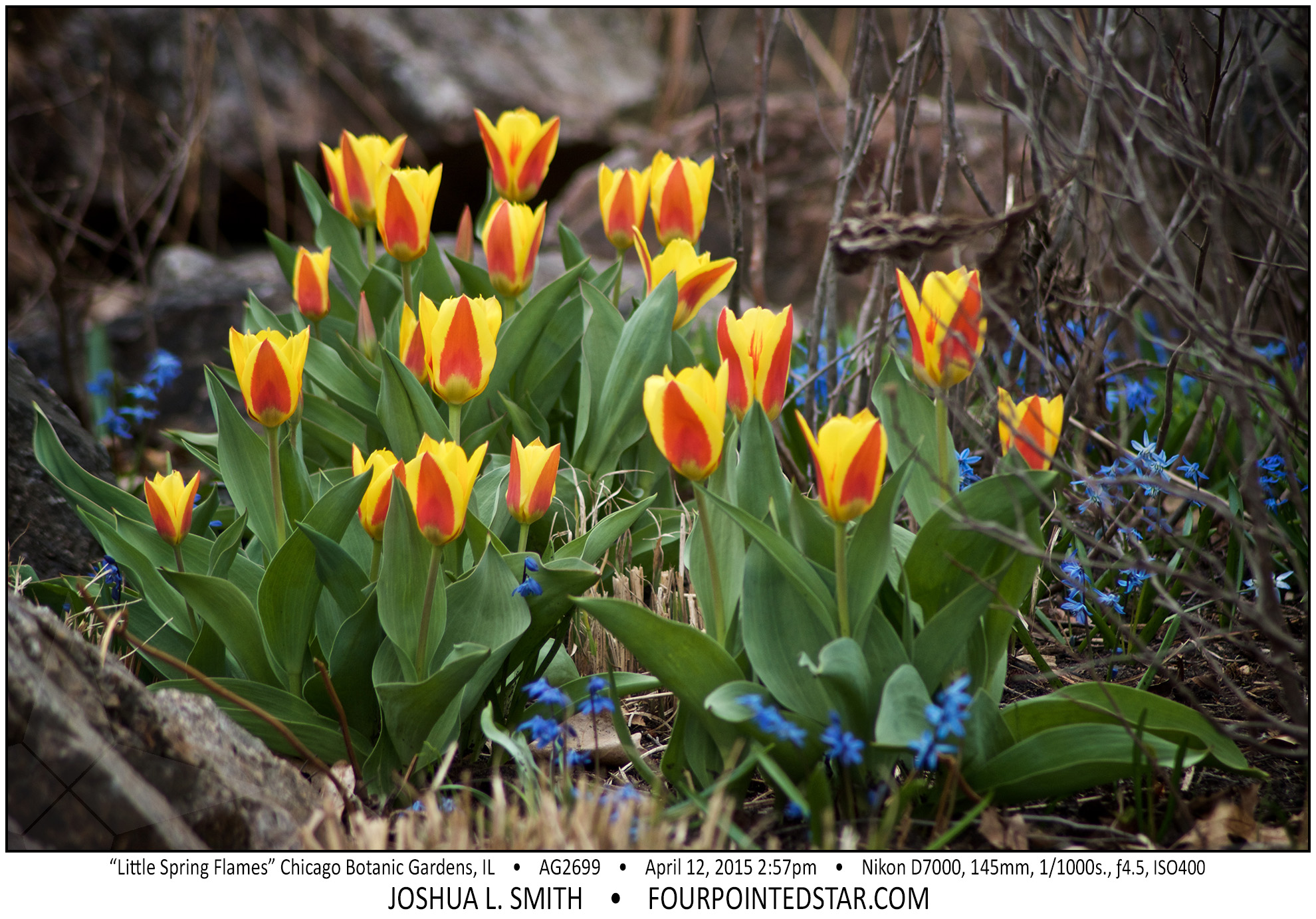 AG2699 150412 145735