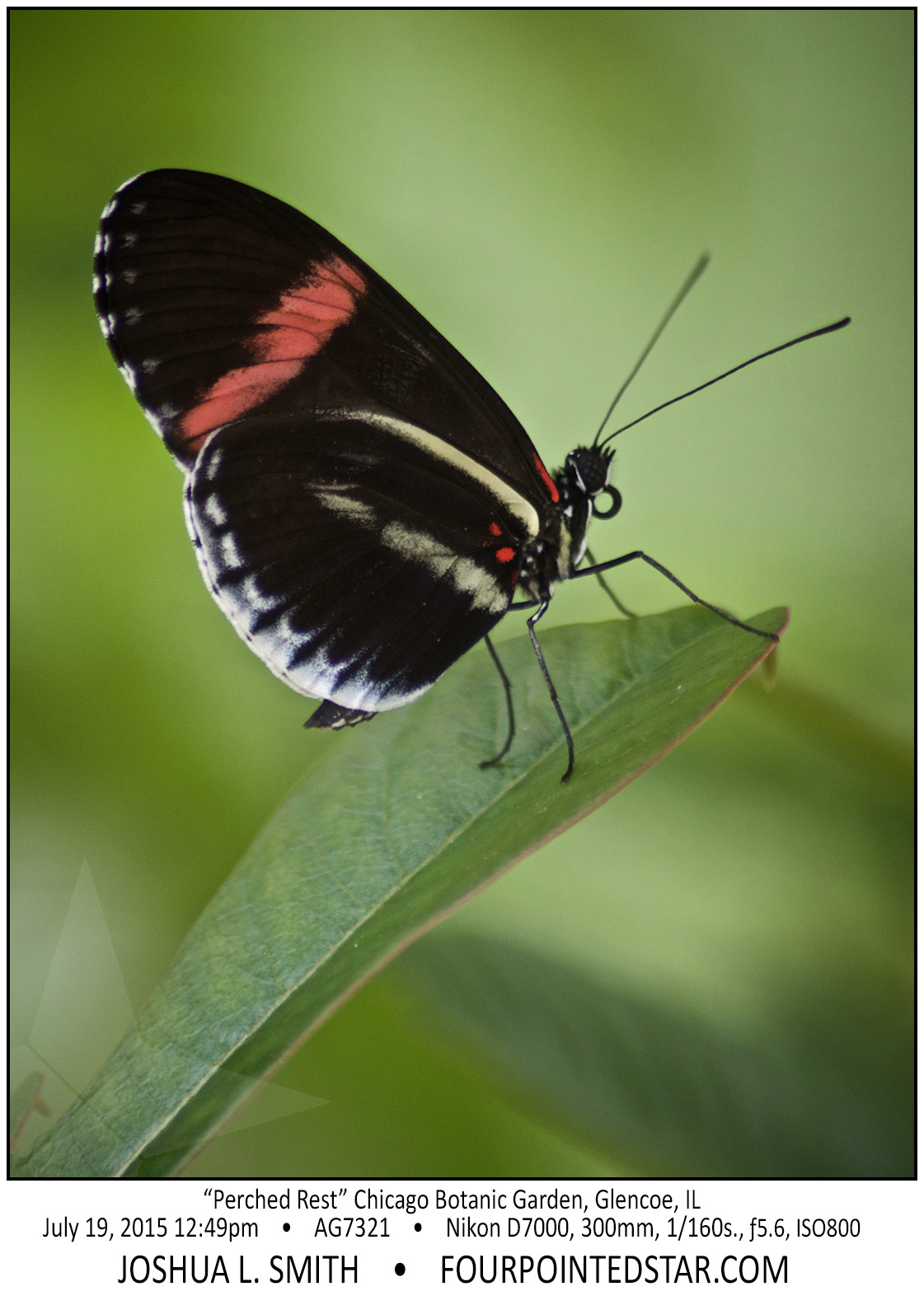 AG7321 150719 124924