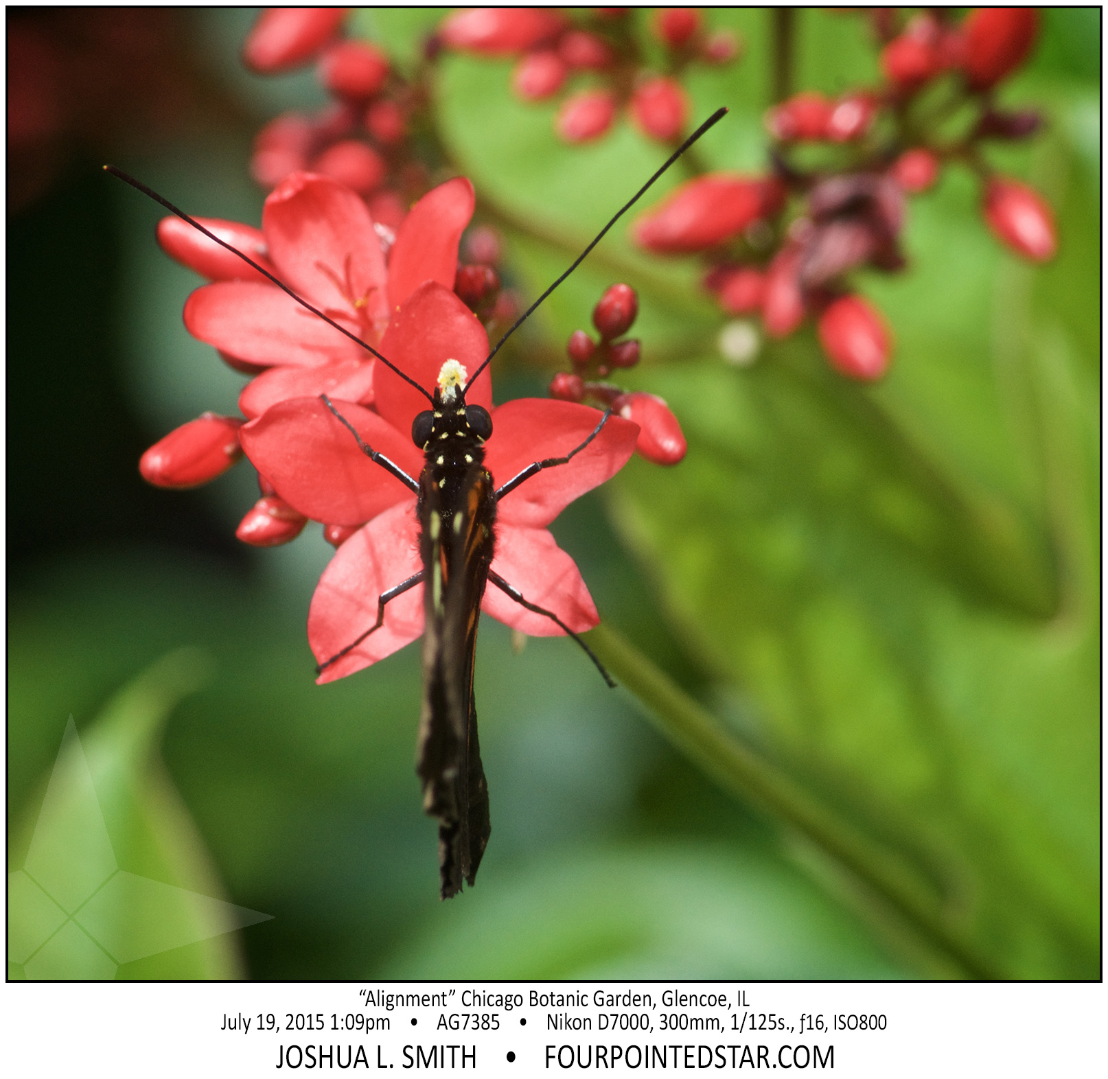 AG7385 150719 130901