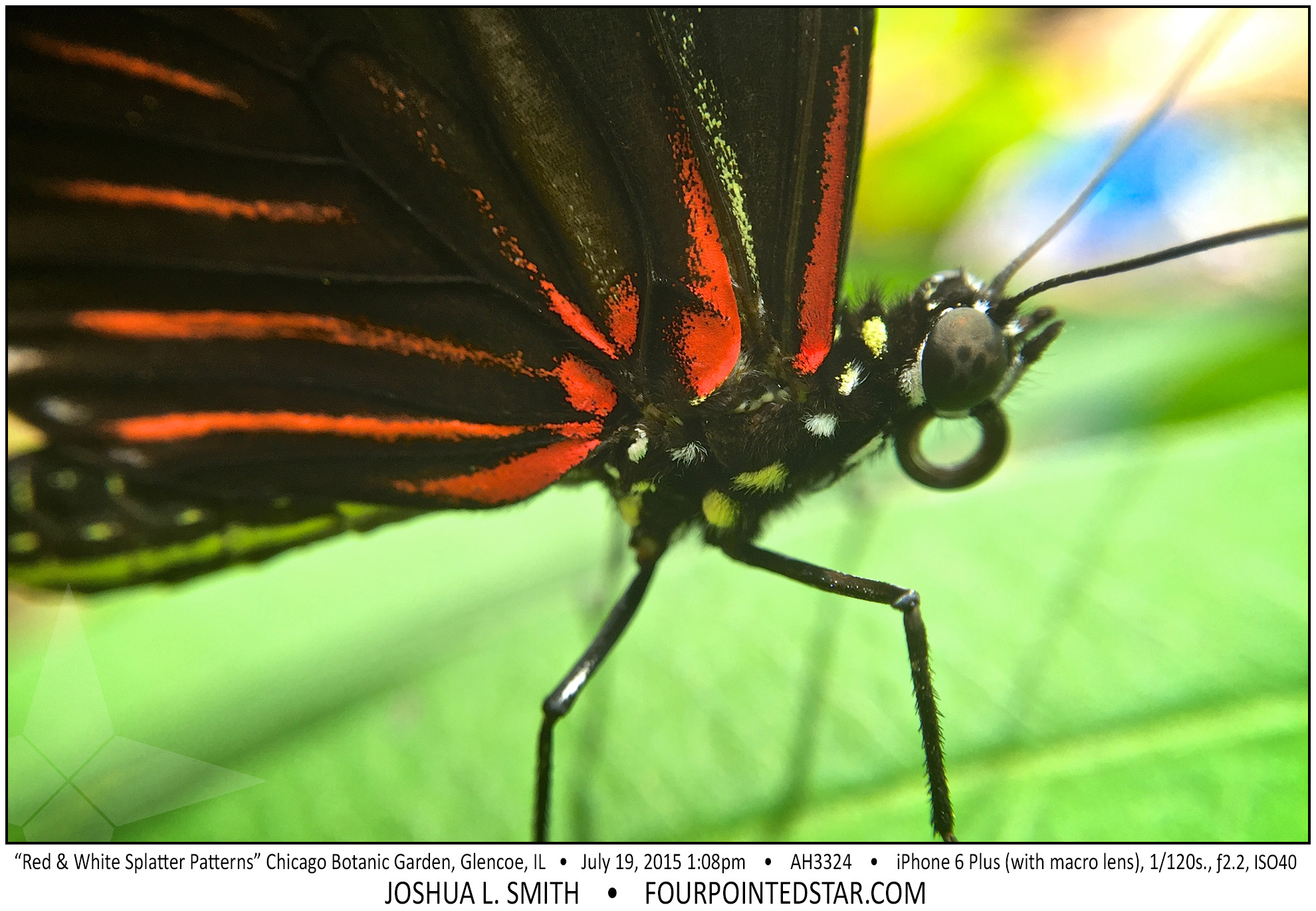 AH3324 150719 130842