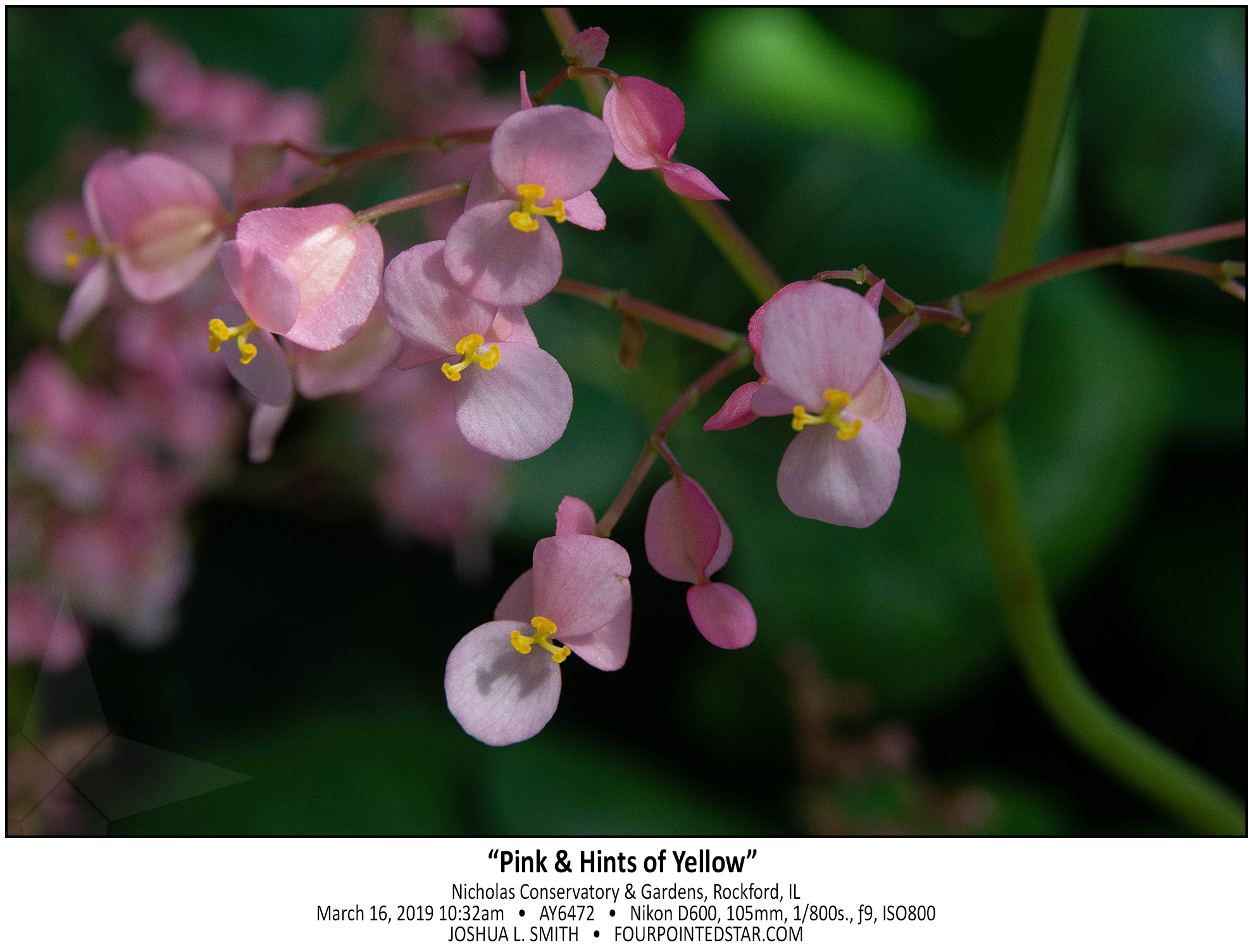 AY6472 190316 103210