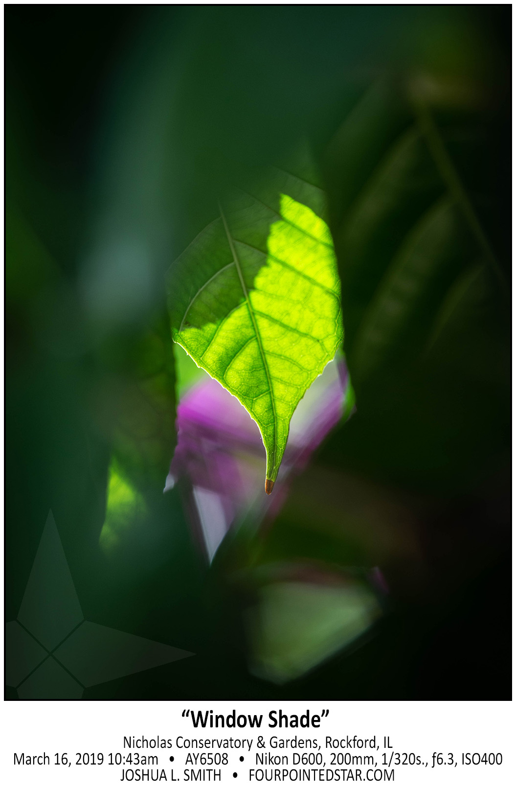 AY6508 190316 104315