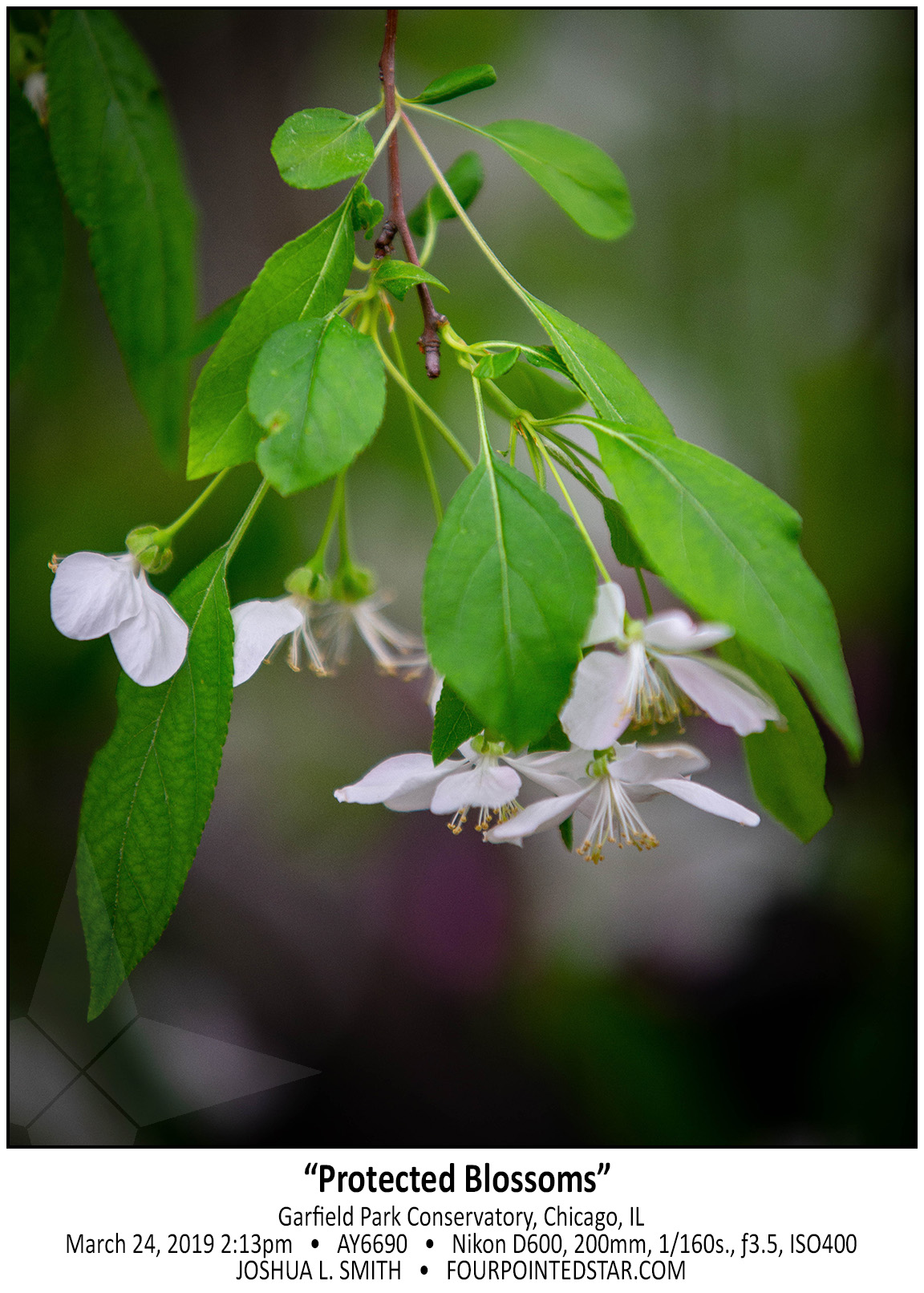 AY6690 190324 141303