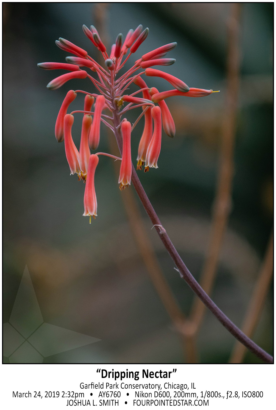 AY6760 190324 143248