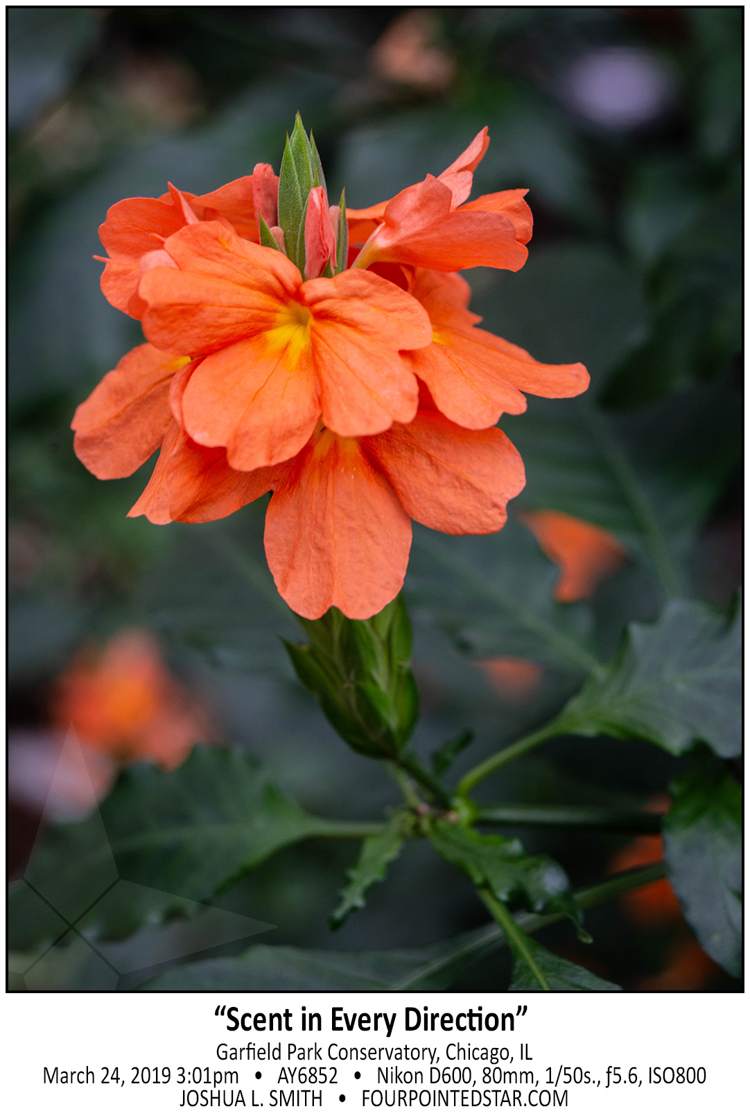 AY6852 190324 150115