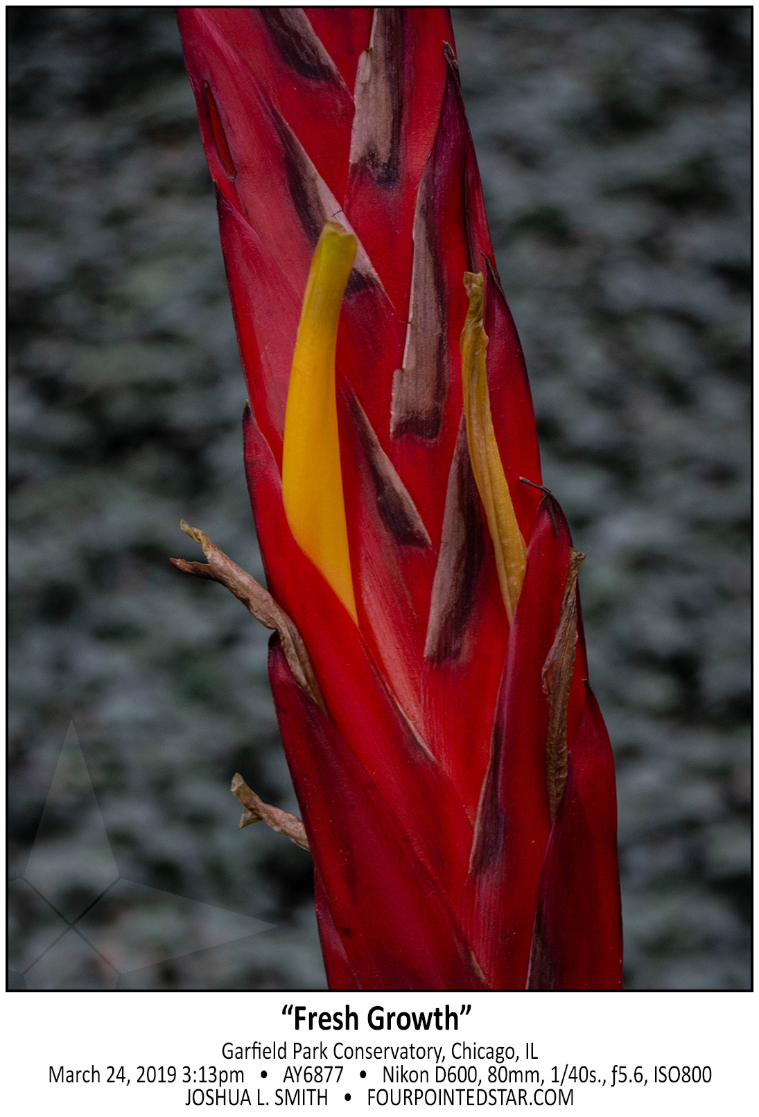 AY6877 190324 151302