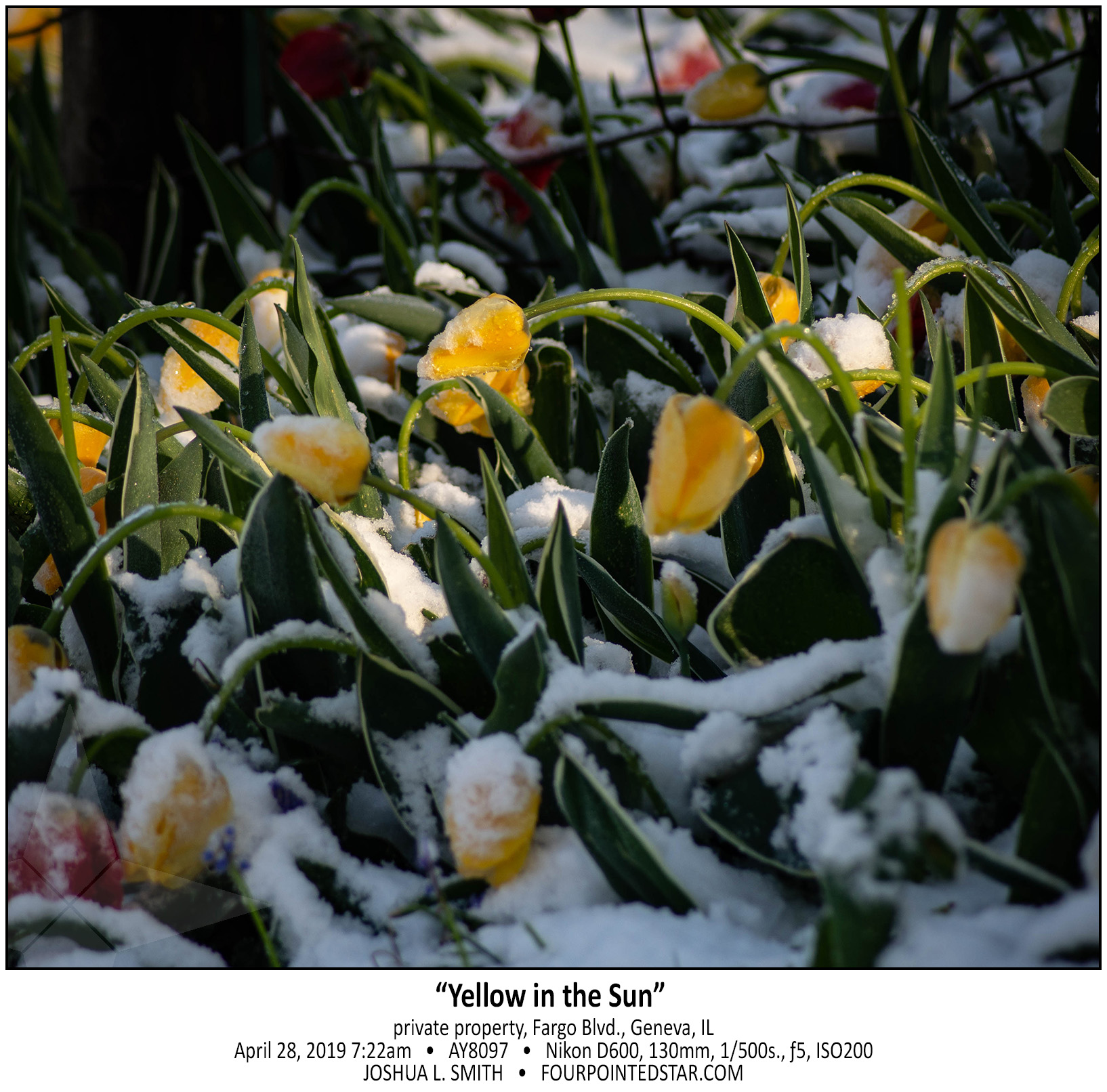 AY8097 190428 072213