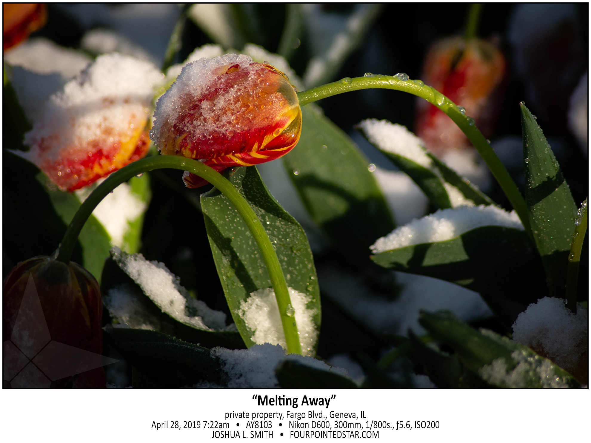 AY8103 190428 092259