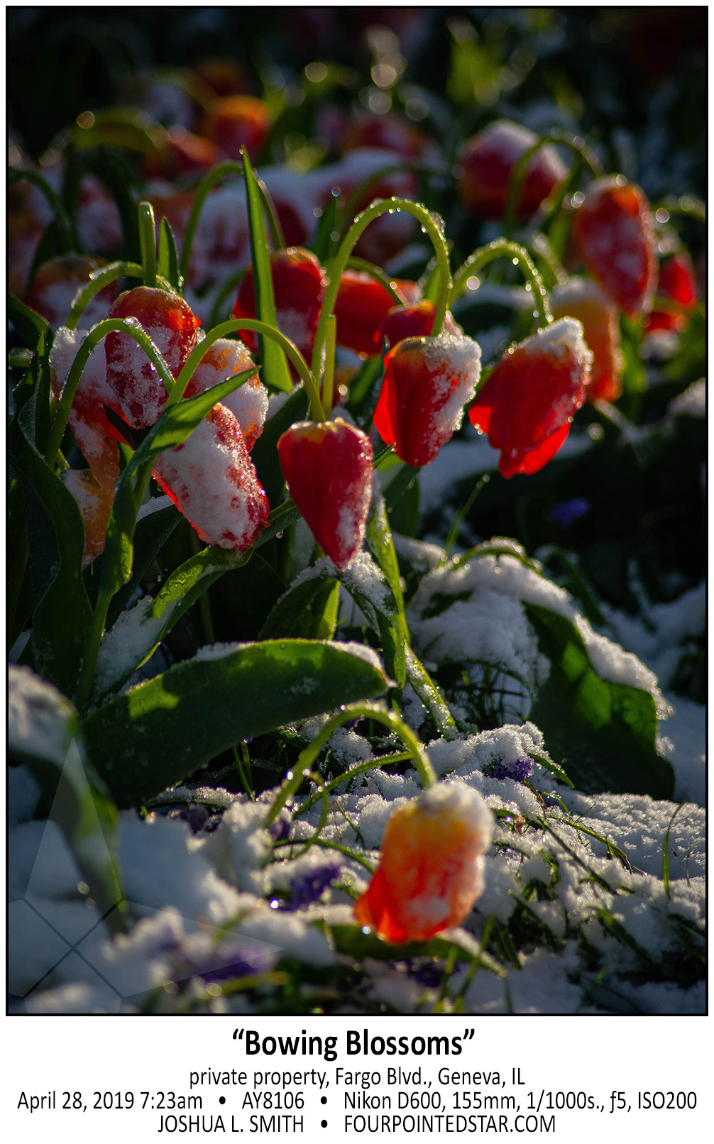 AY8106 190428 072314