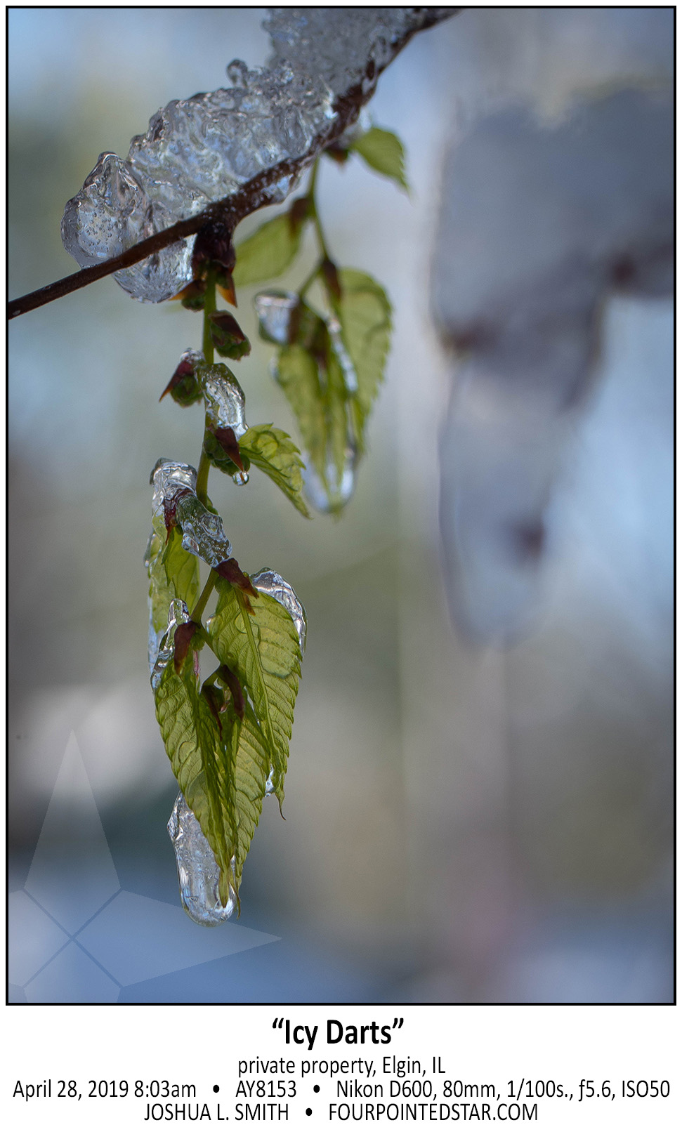 AY8153 190428 080354