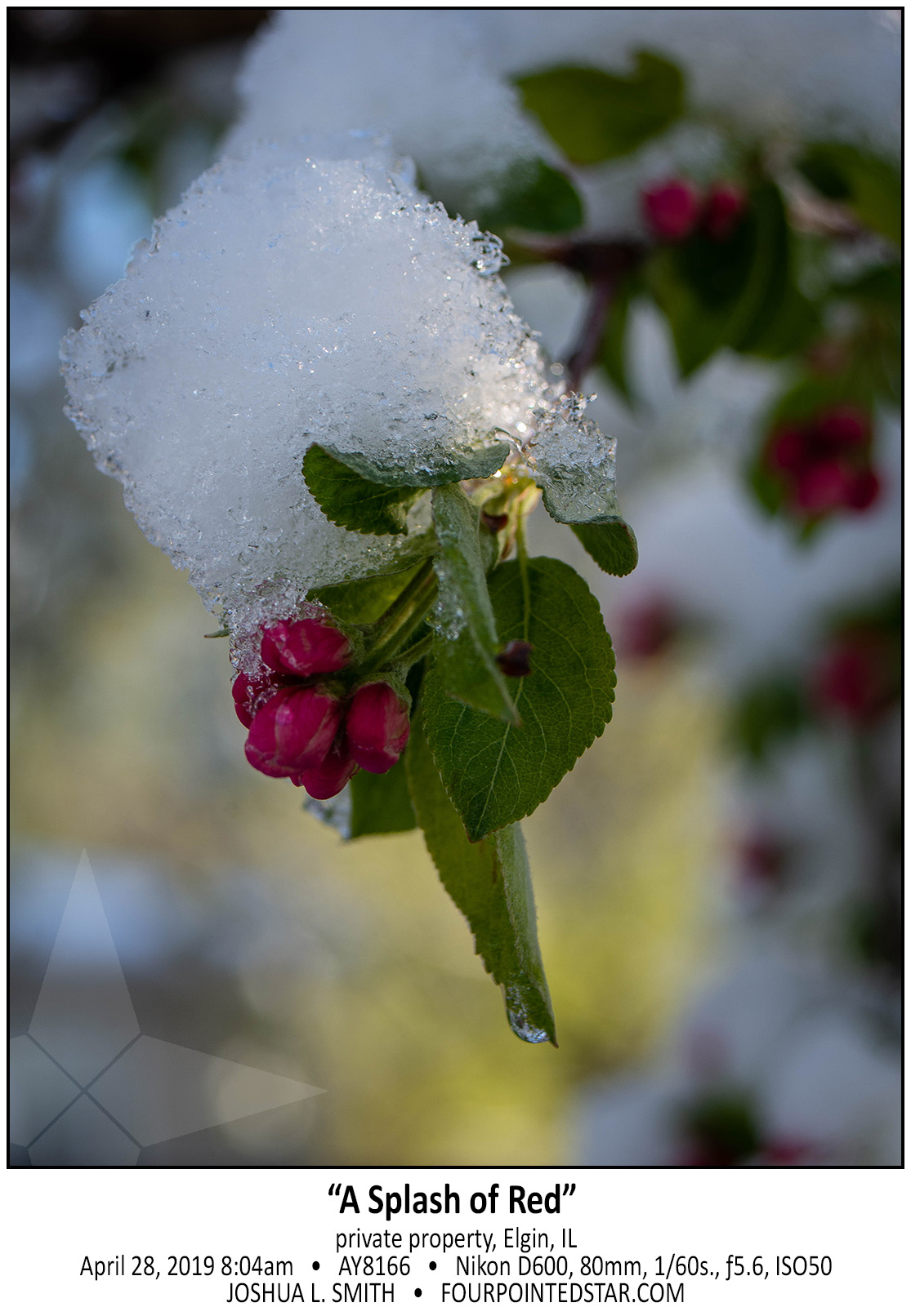 AY8166 190428 080444