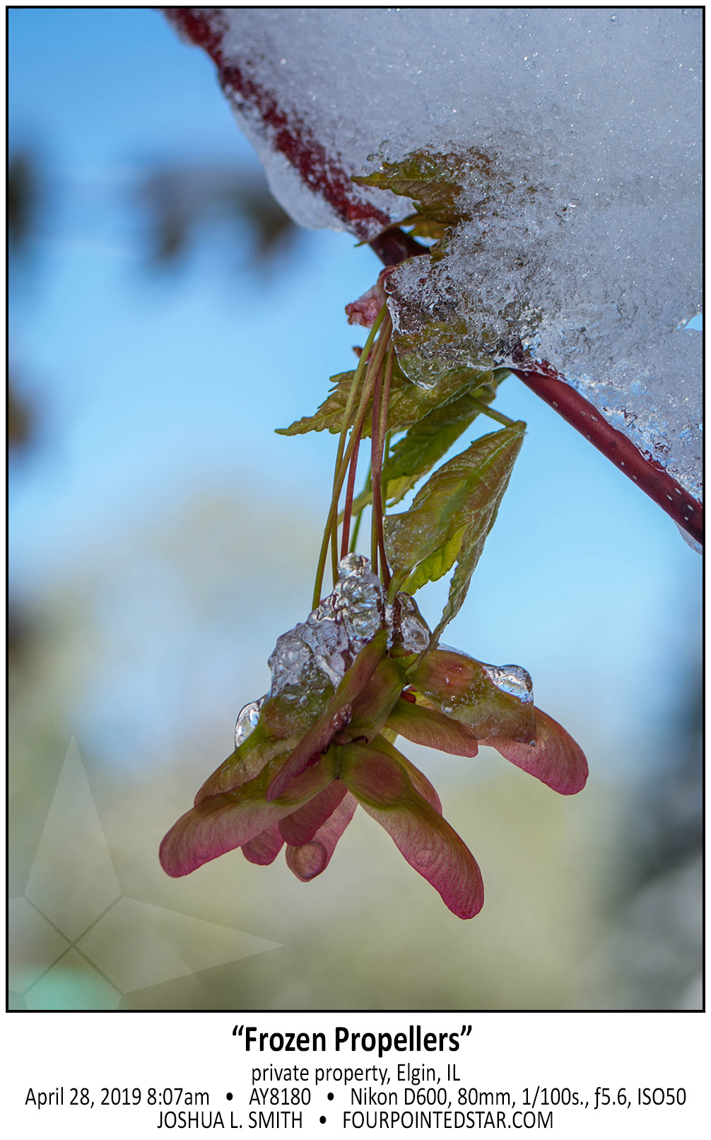 AY8180 190428 080702