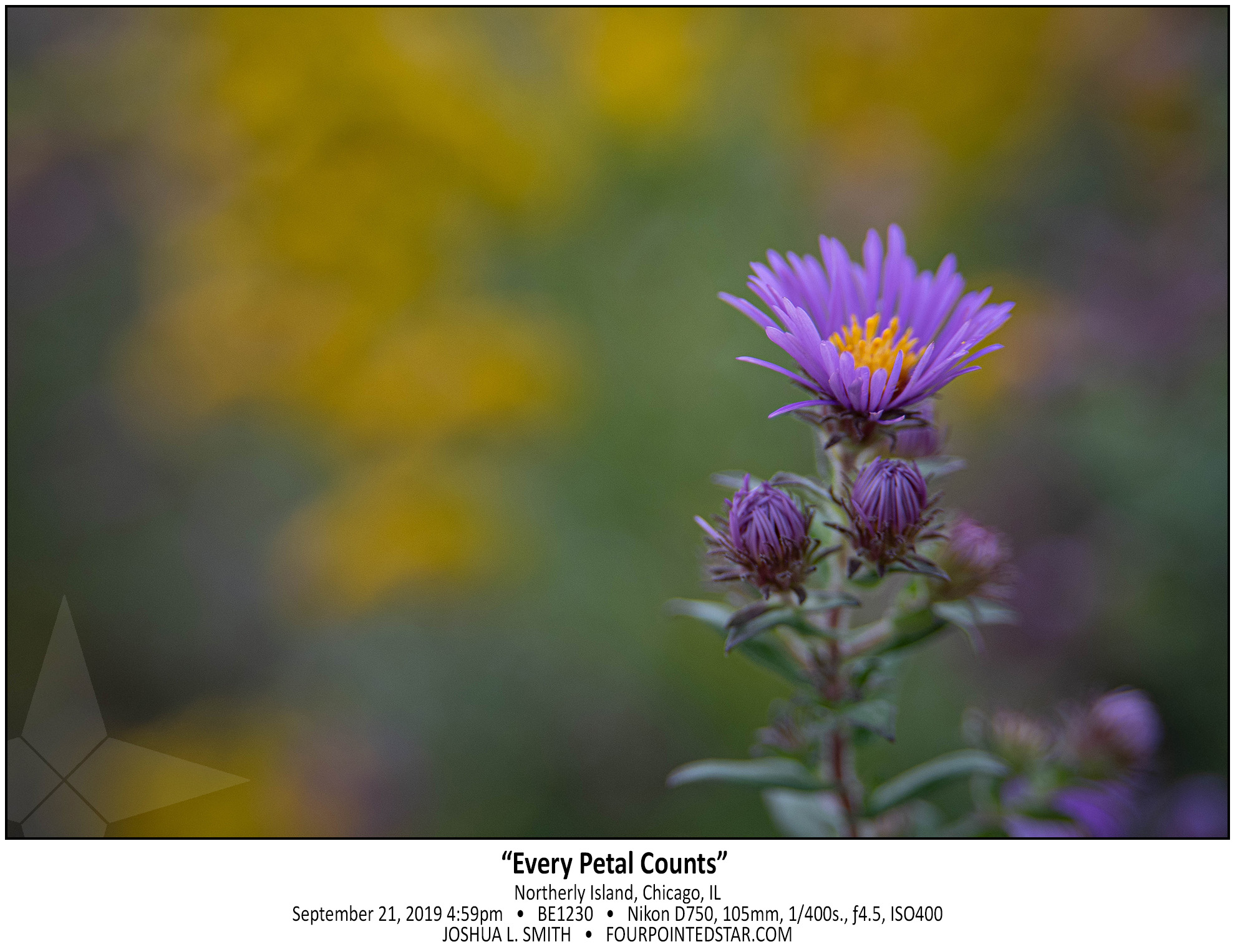 BE1230 190921 165906