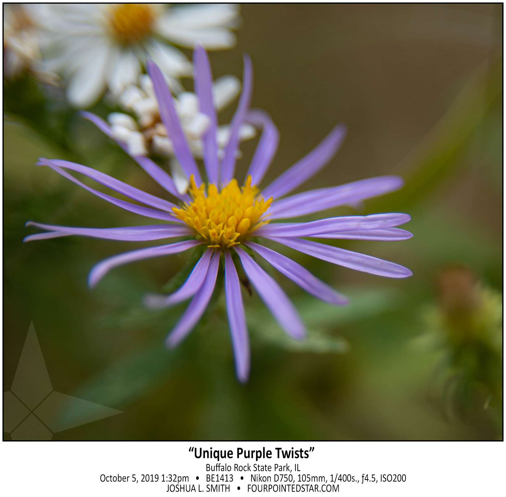 BE1413 191005 133230