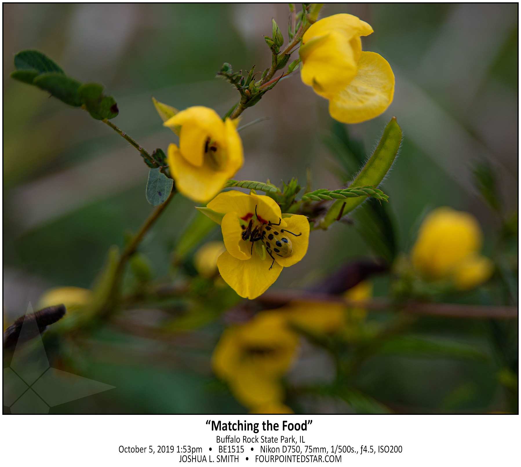 BE1515 191005 135332