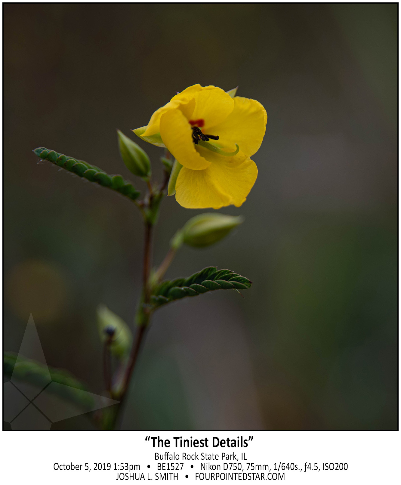 BE1527 191005 135351