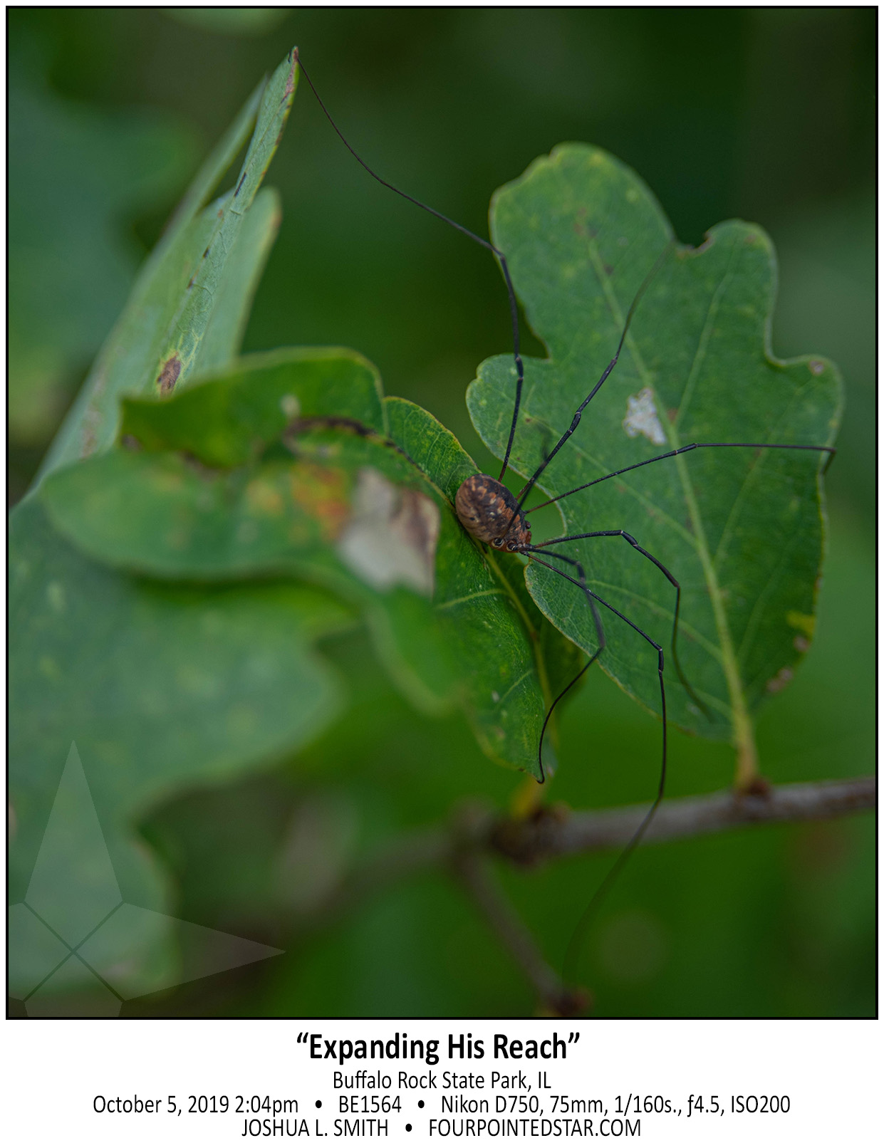 BE1564 191005 140426