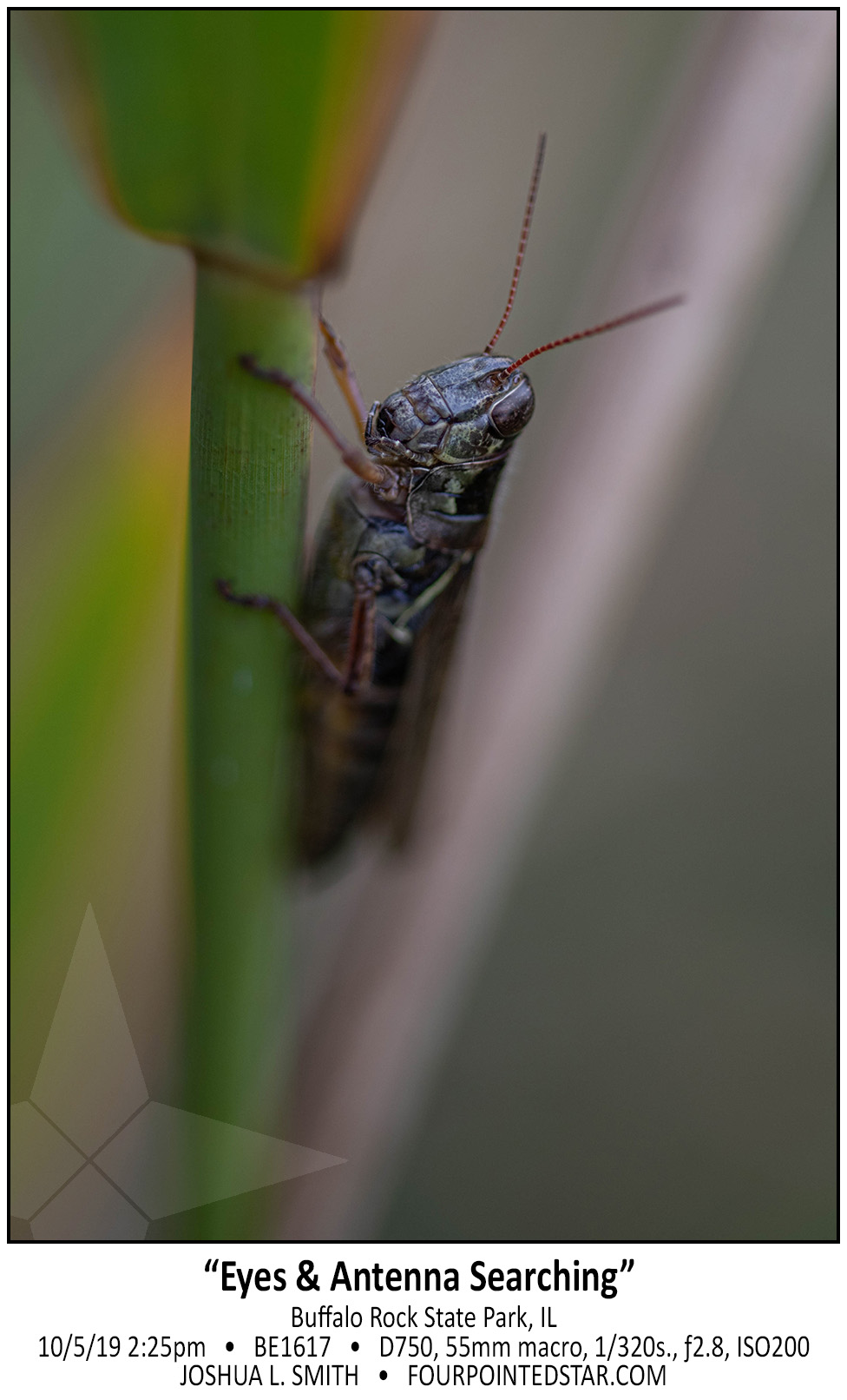 BE1617 191005 142510