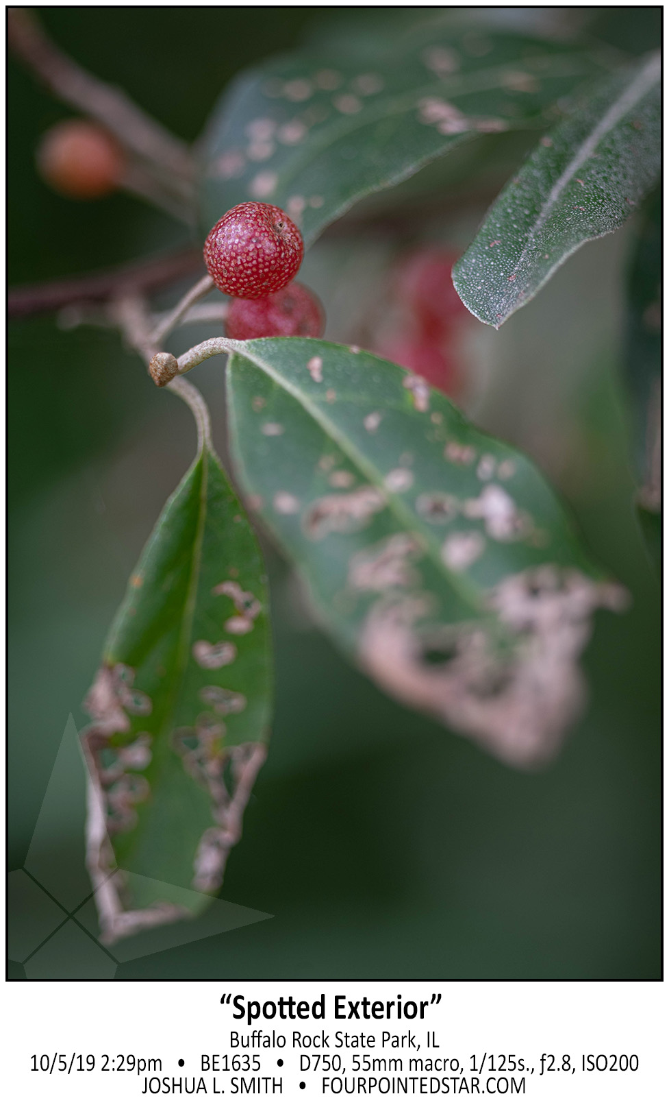 BE1635 191005 142946