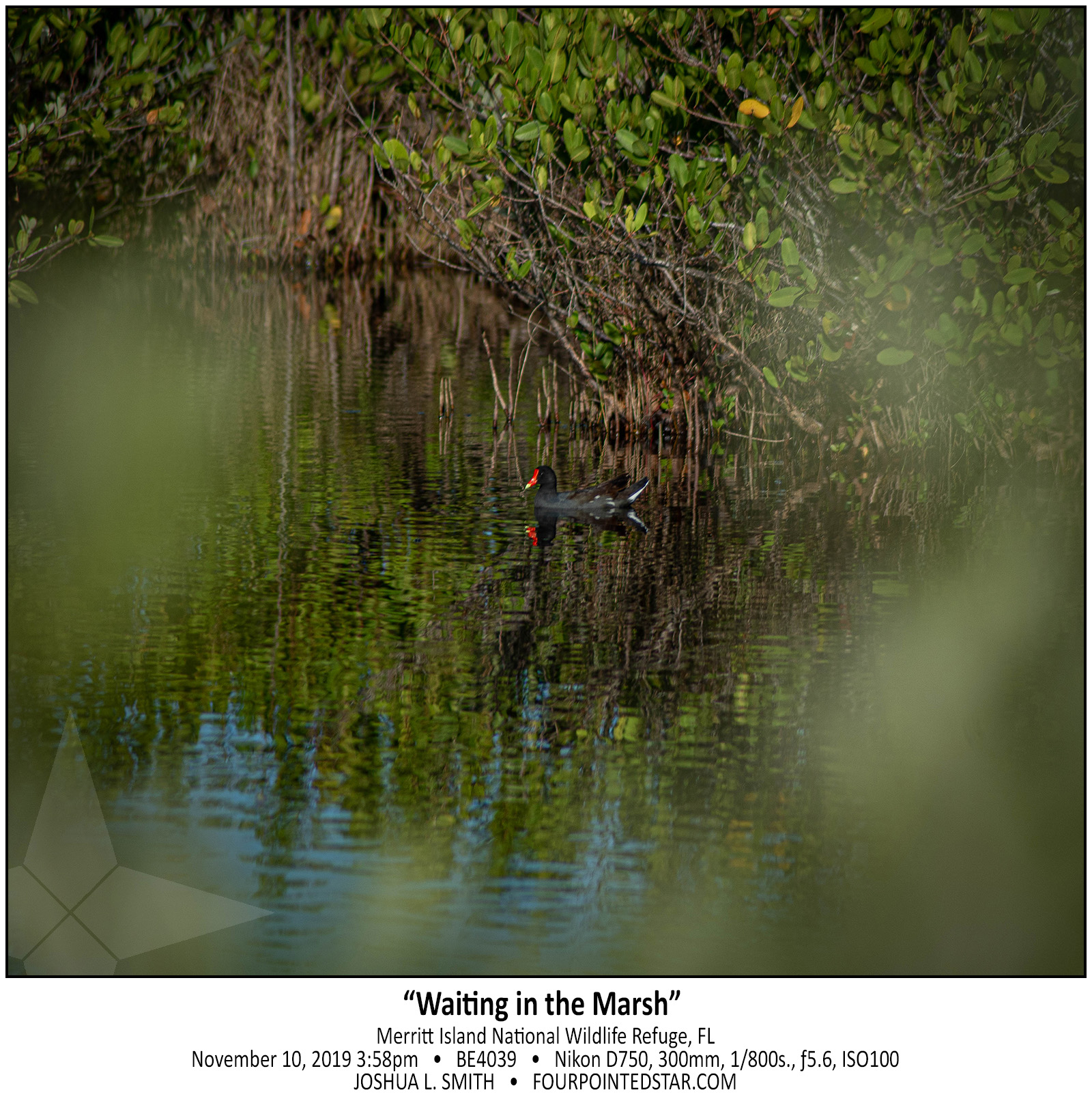 BE4039 191110 155836