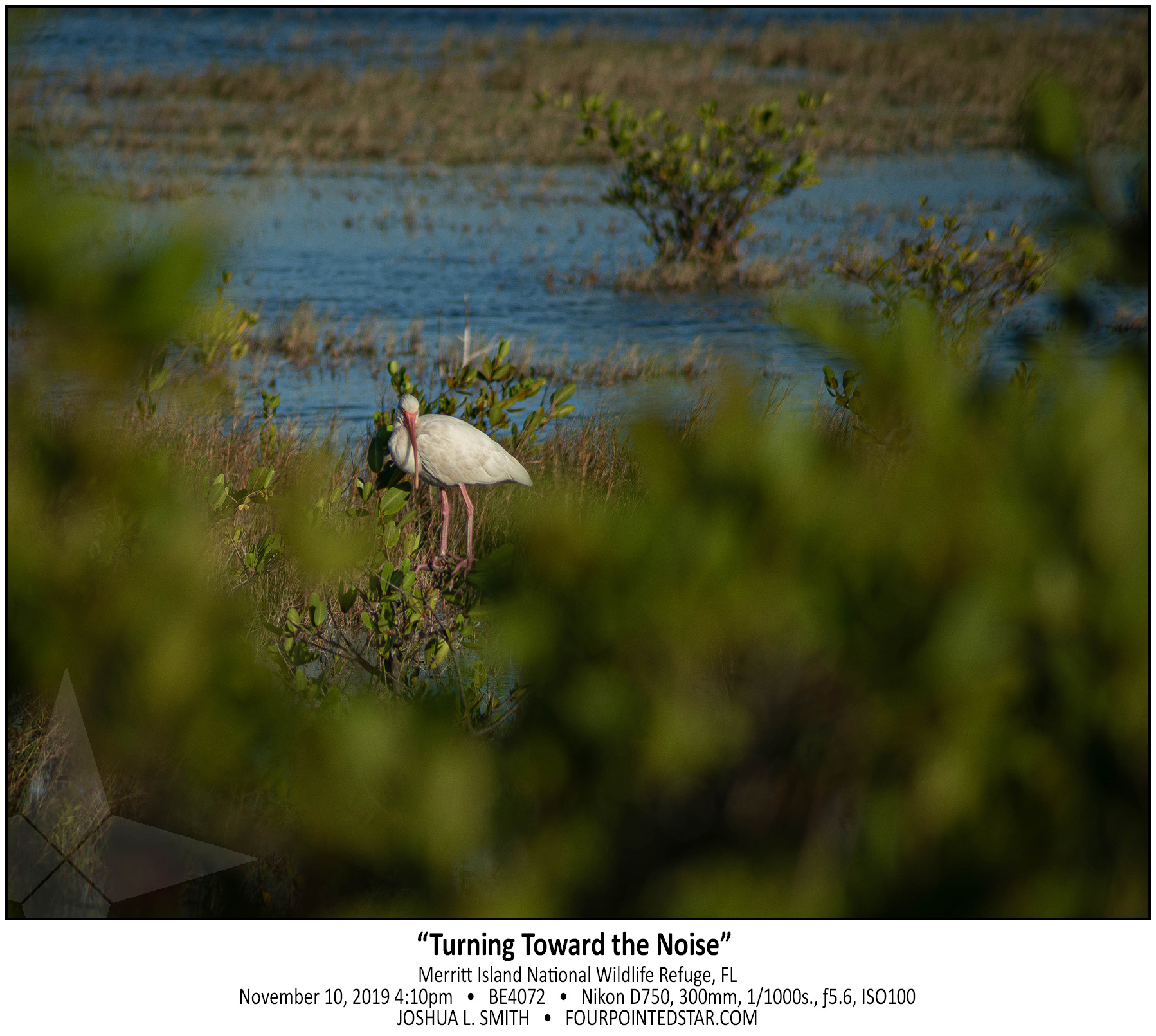 BE4072 191110 161220