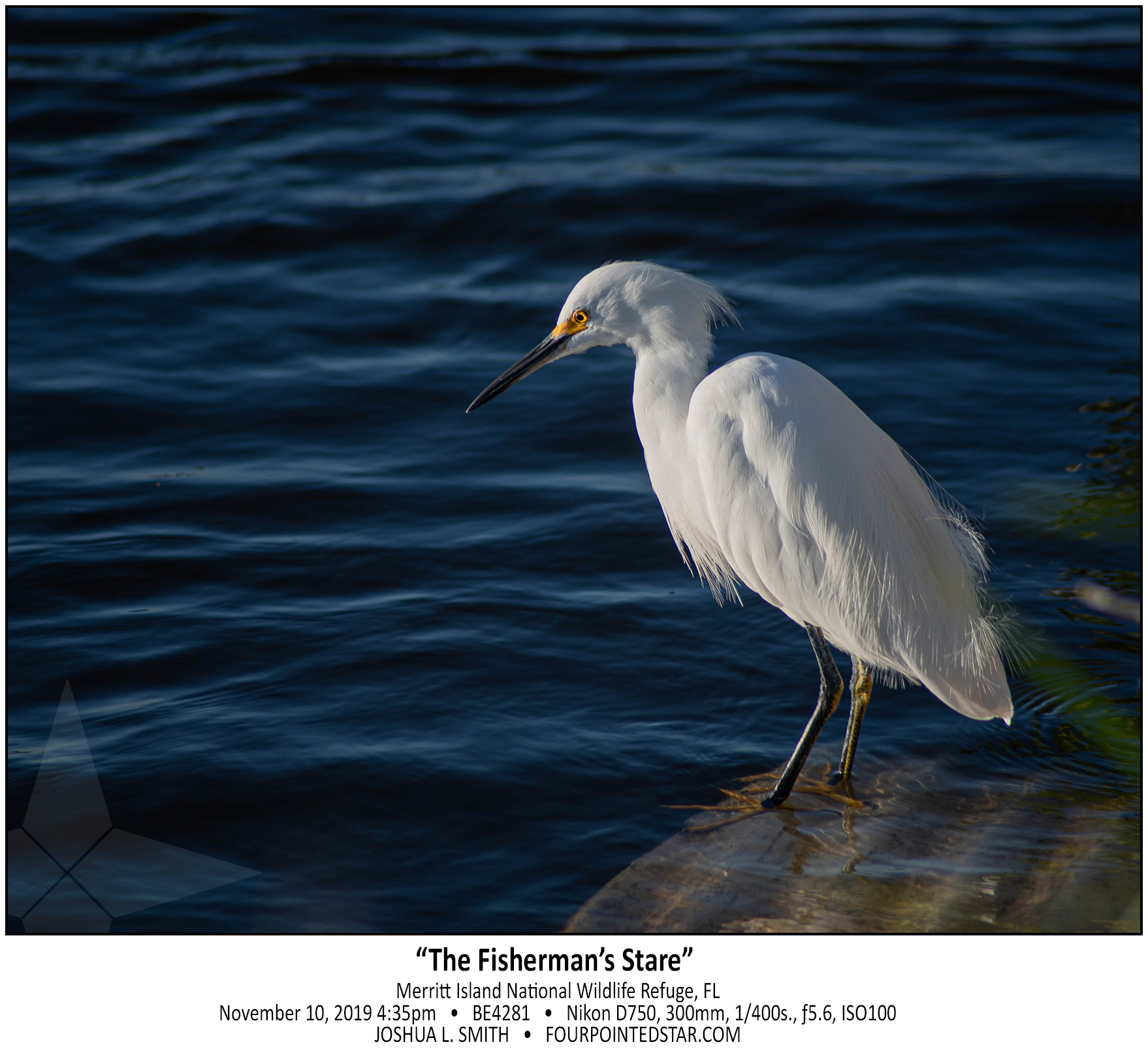 BE4281 191110 163518