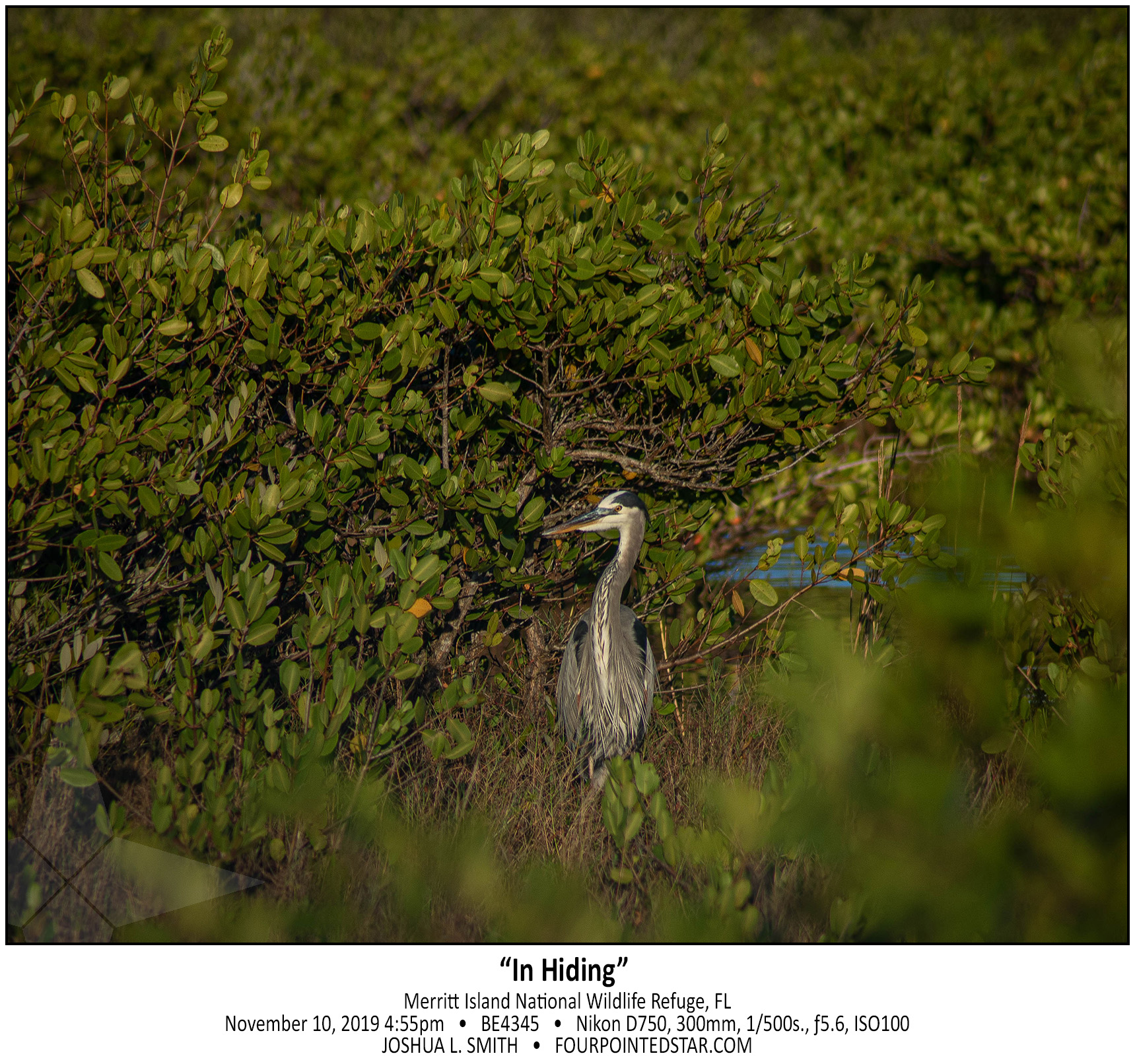 BE4345 191110 165506