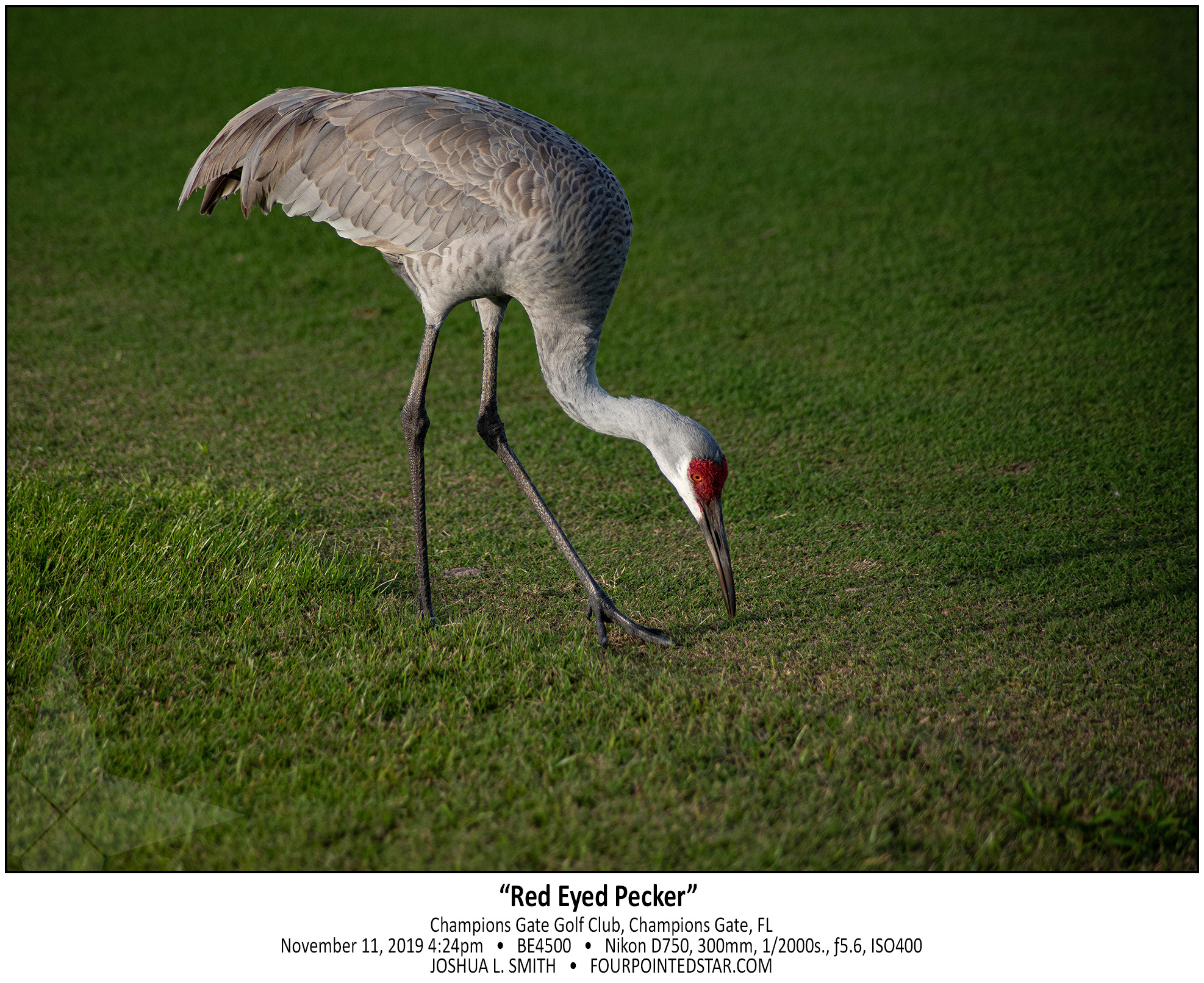 BE4500 191111 162400