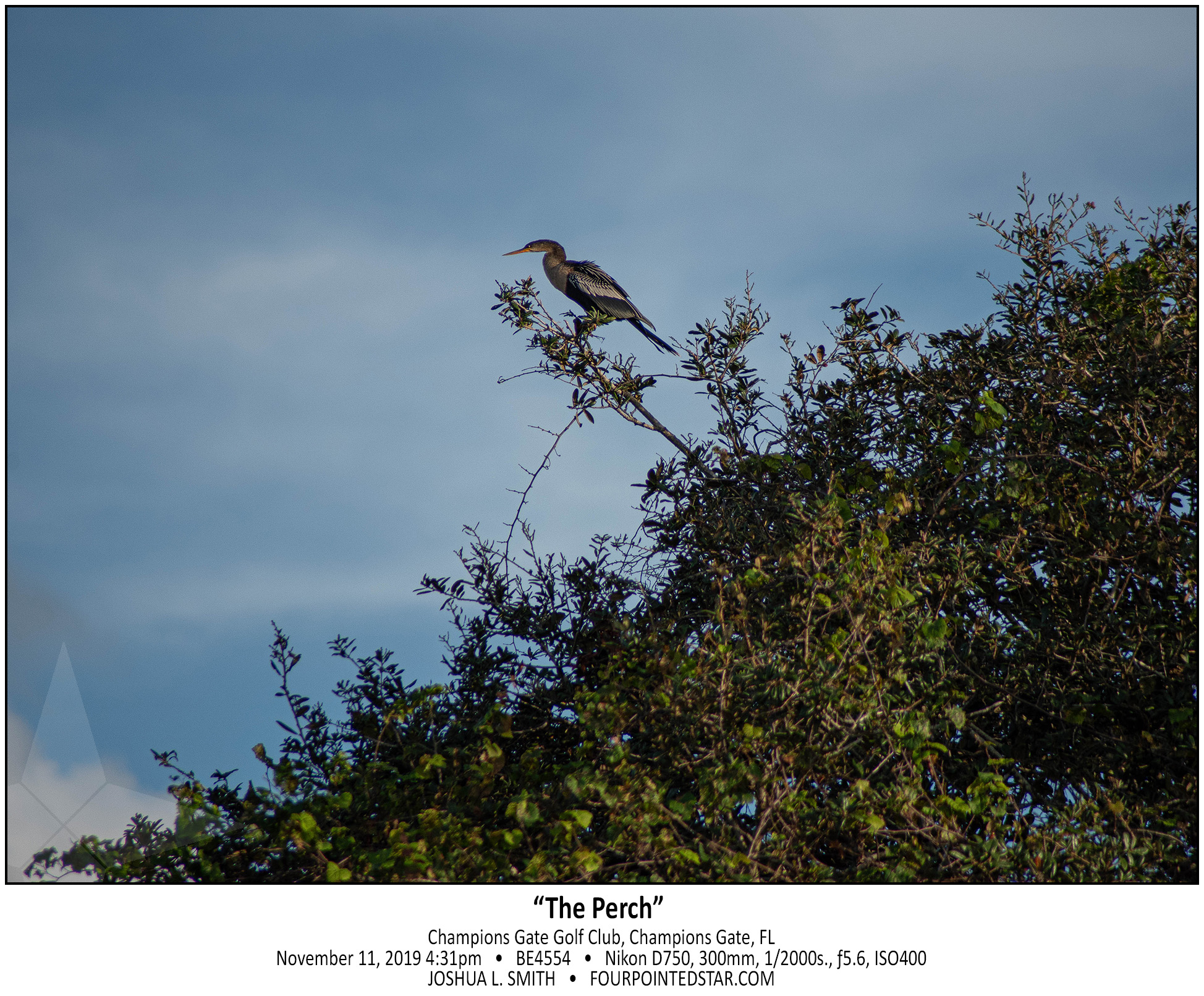 BE4554 191111 163126